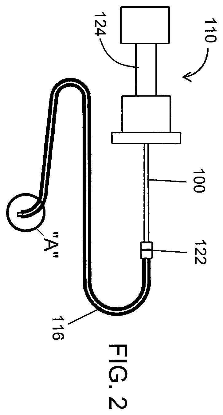 Patent US12599439 Figure 2 – System and method to access lung tissue