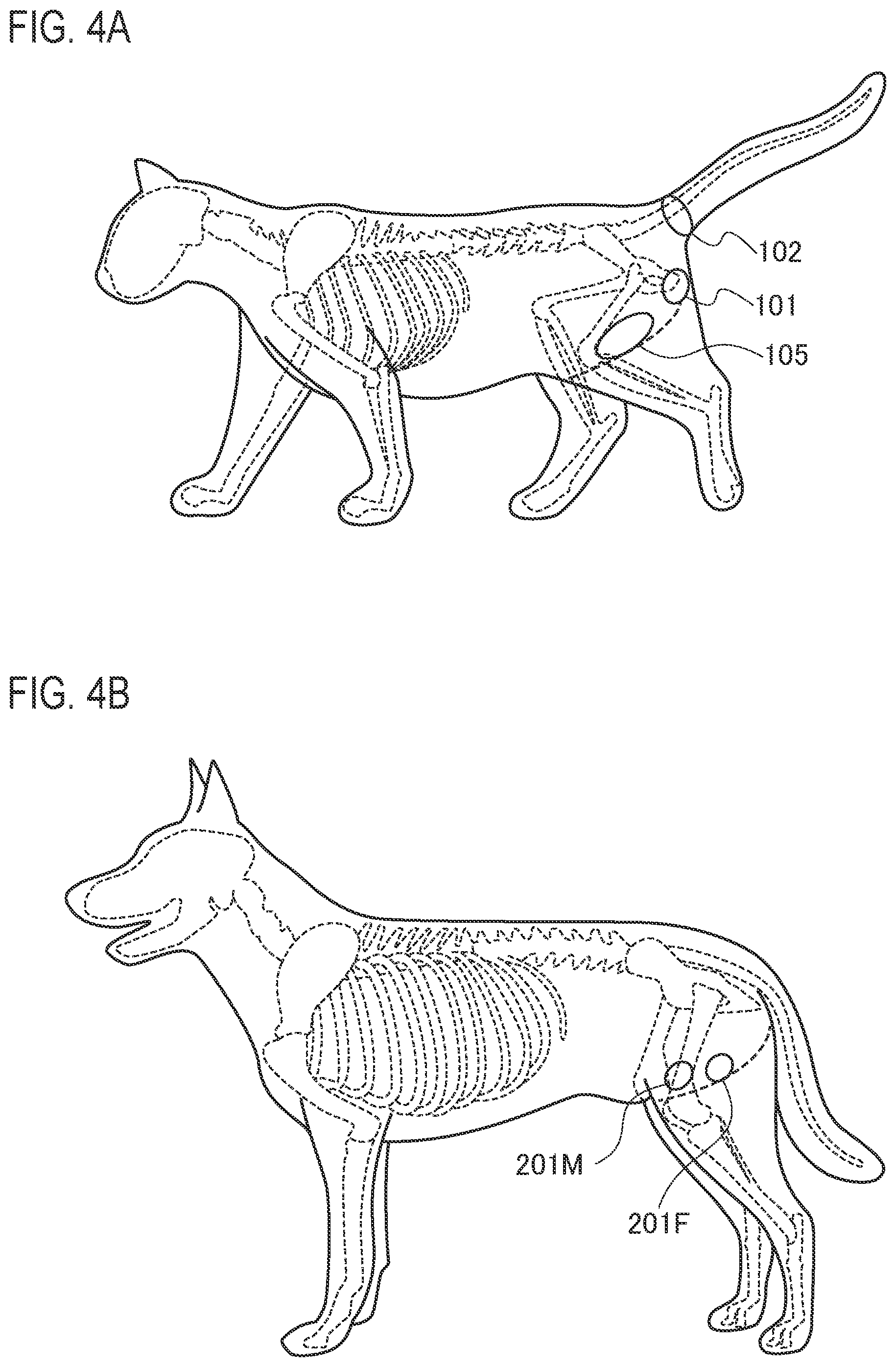 Patent US12599509 Figure 4 – Cat diaper