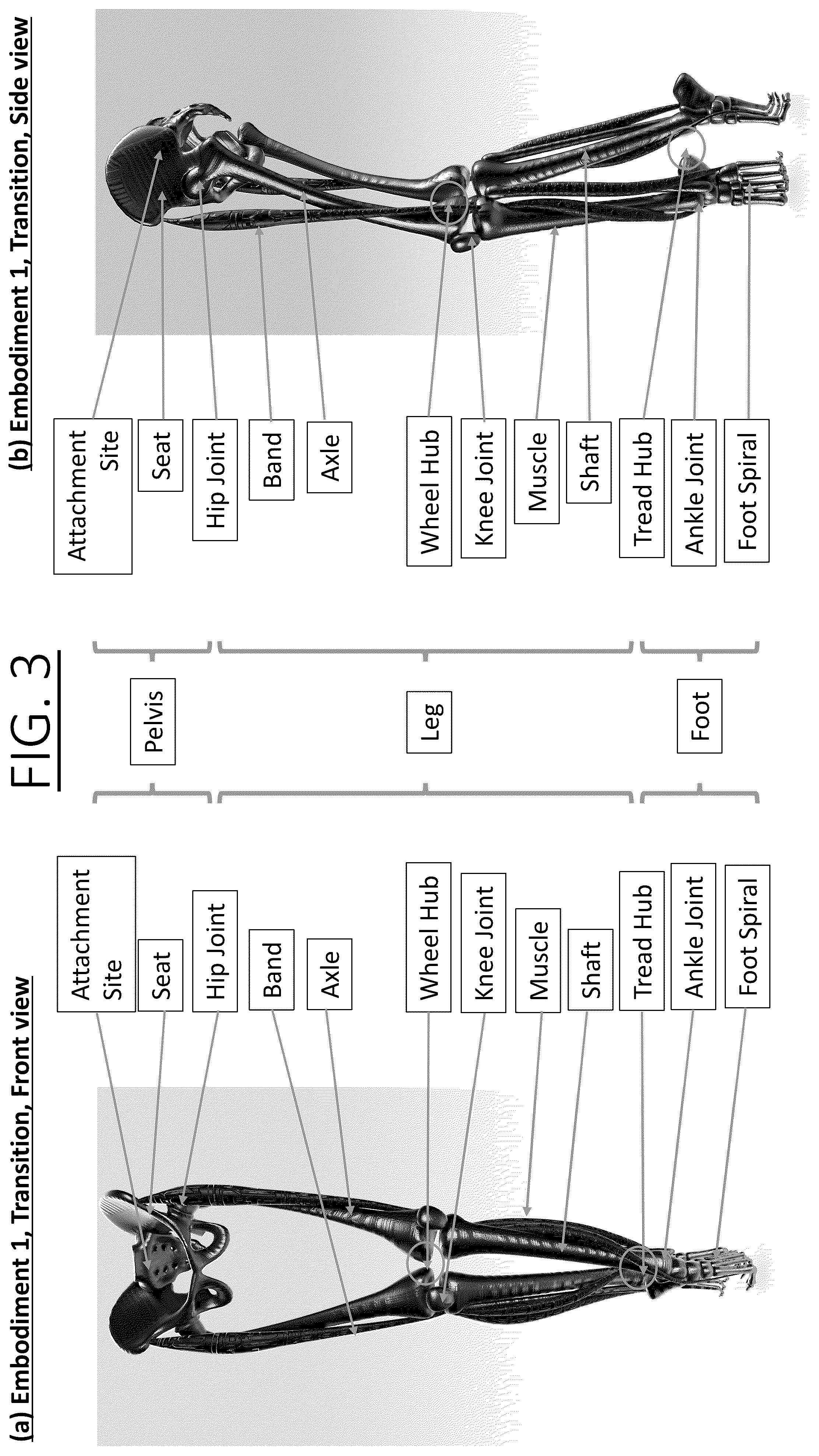 Patent US12599532 Figure 3 – Three dimensional log spiral structures for improving transportation