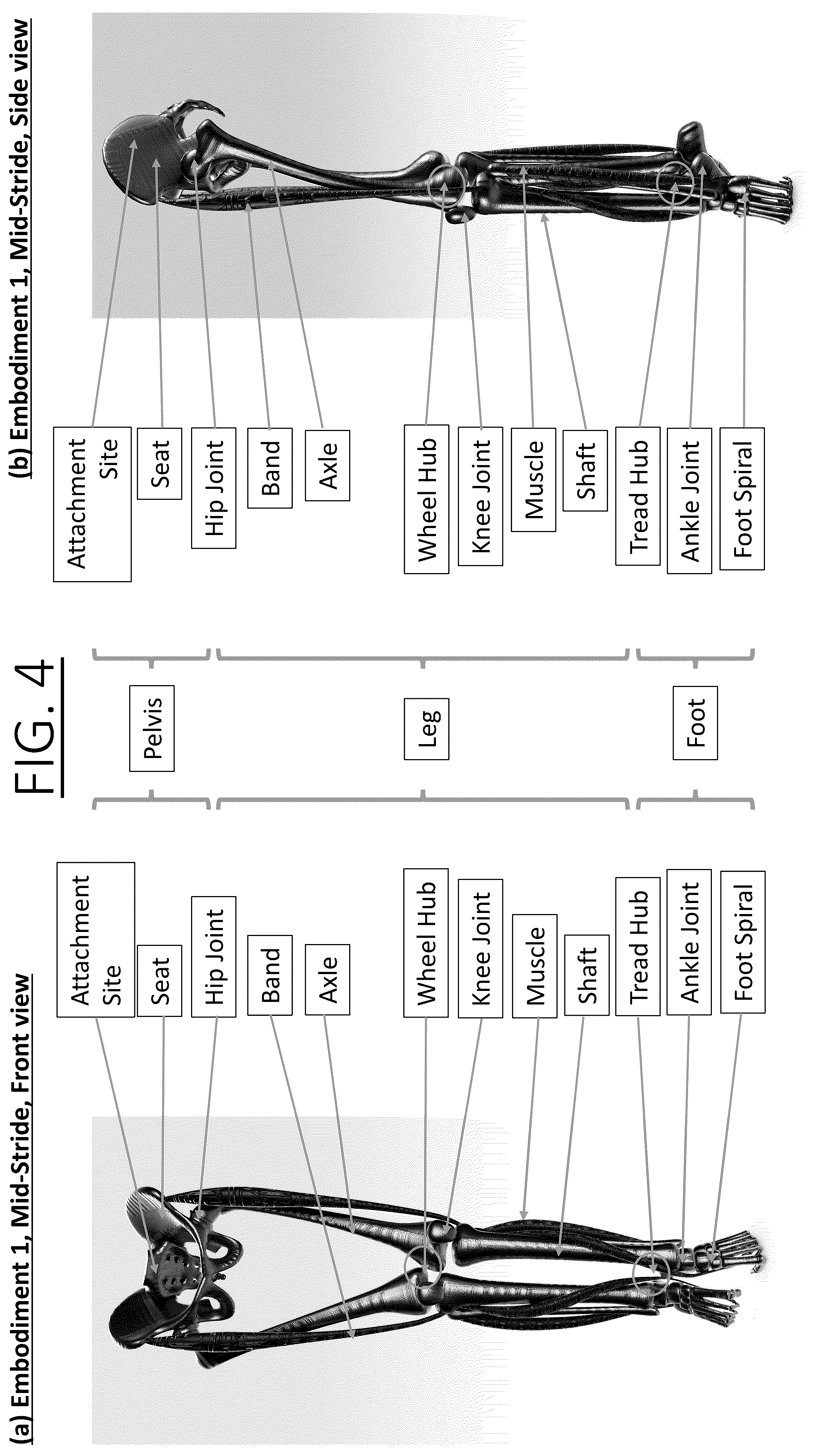 Patent US12599532 Figure 4 – Three dimensional log spiral structures for improving transportation
