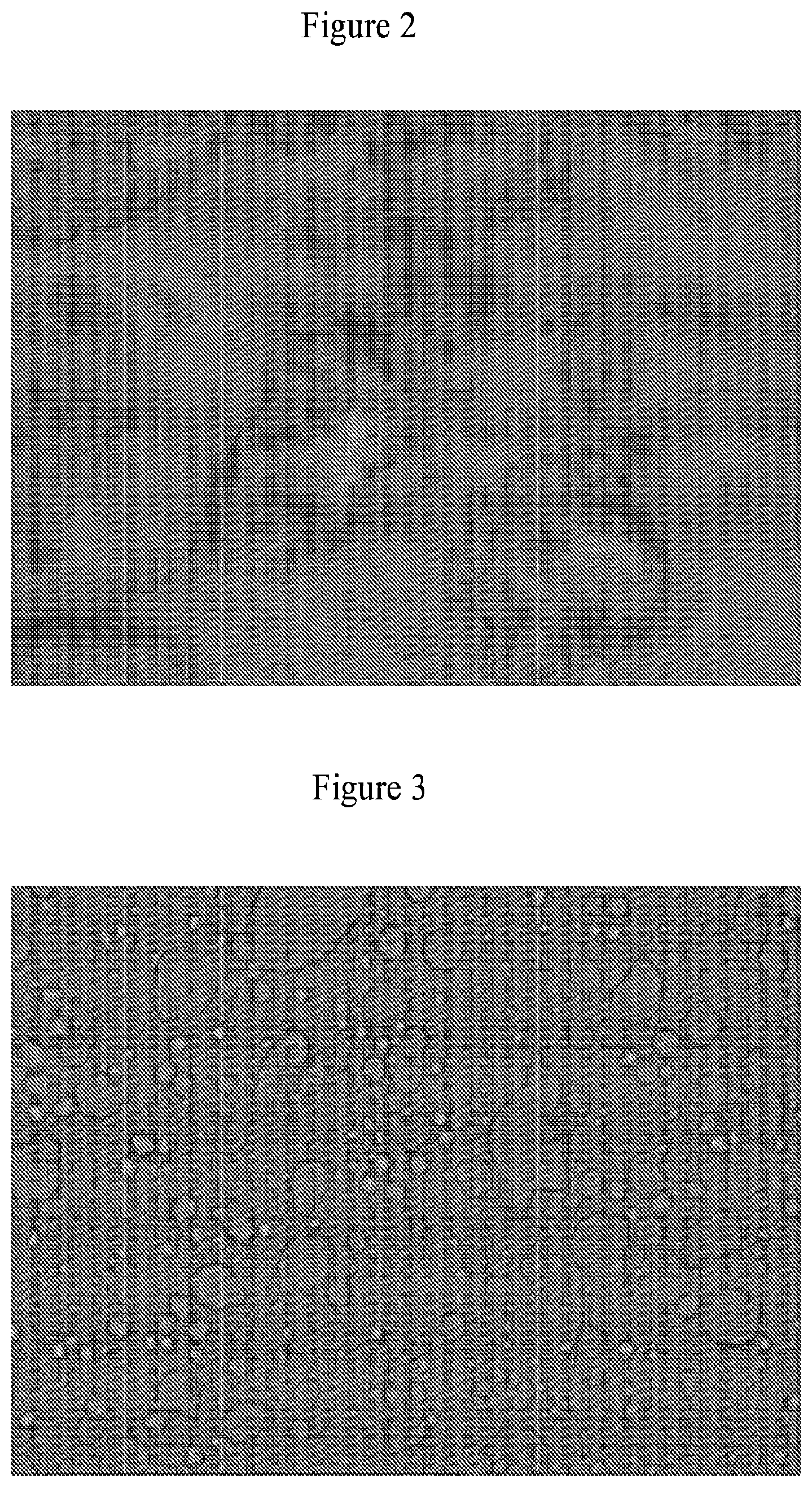 Patent US12599547 Figure 2 – Topical compositions optimised for epidermal lipids and phosphatidyl gycerol