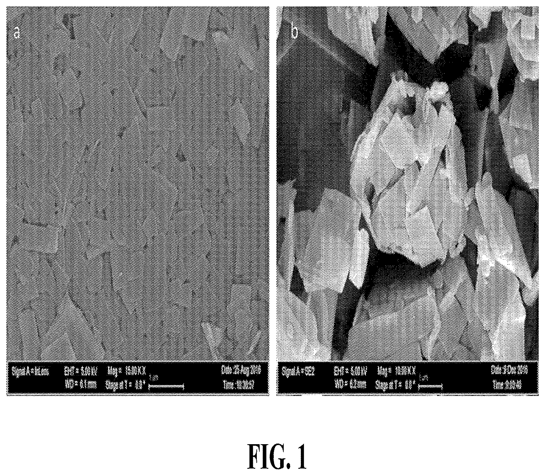 Patent US12599562 Figure 1 – Nanocrystal microparticles of poorly soluble drugs and methods of production and use thereof