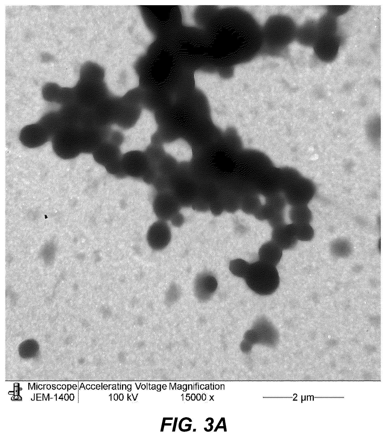 Patent US12599569 Figure 3 – Encapsulated resveratrol (RSV) nanoparticles