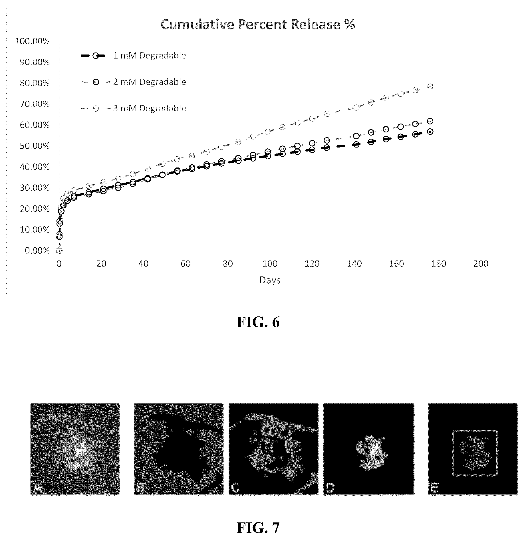Patent US12599570 Figure 3 – Biodegradable extended release microsphere-hydrogel ocular drug delivery system and method