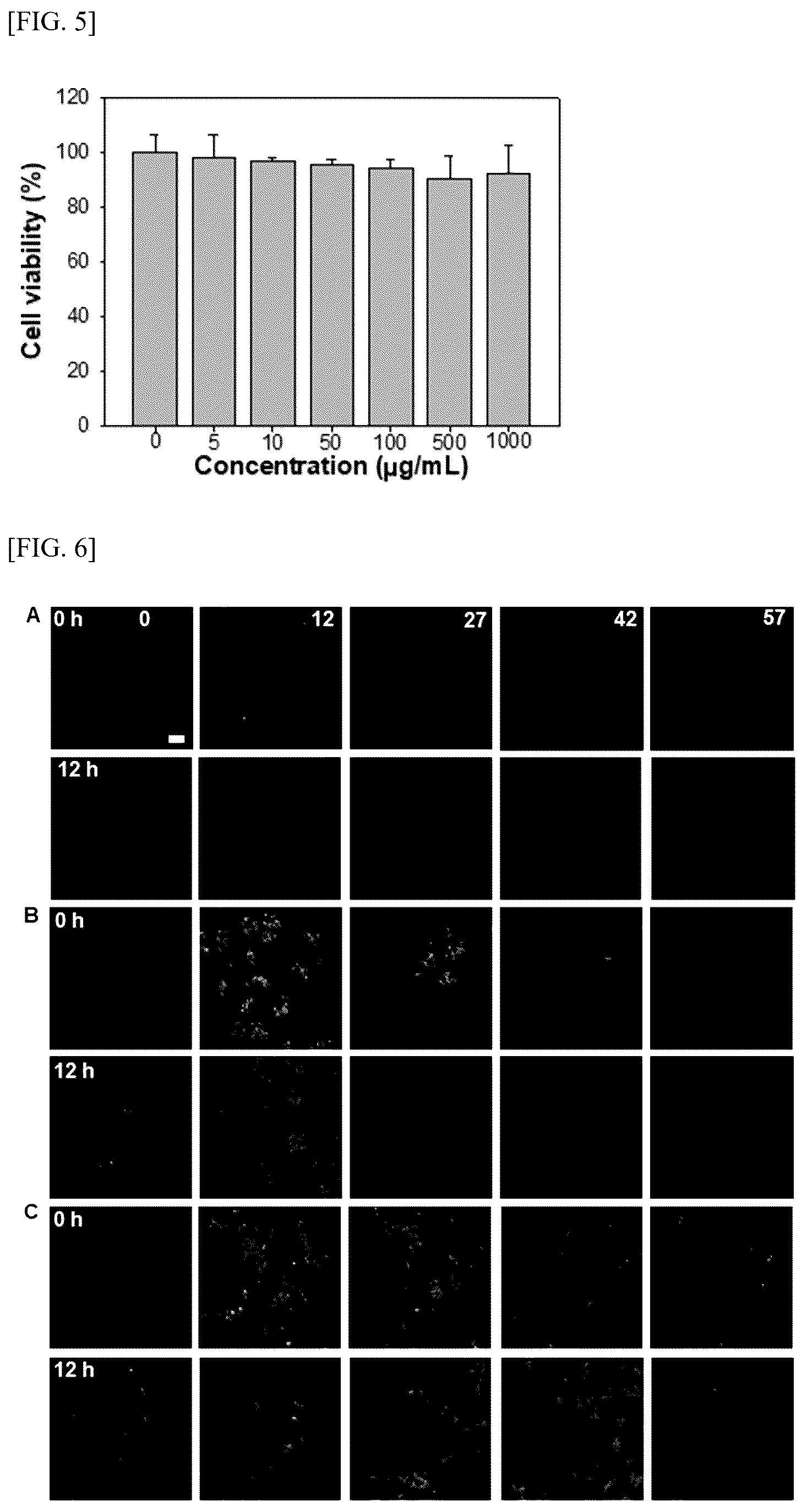 Patent US12599571 Figure 7 – Method for preparing polydopamine nanomotor using urease, and use of same