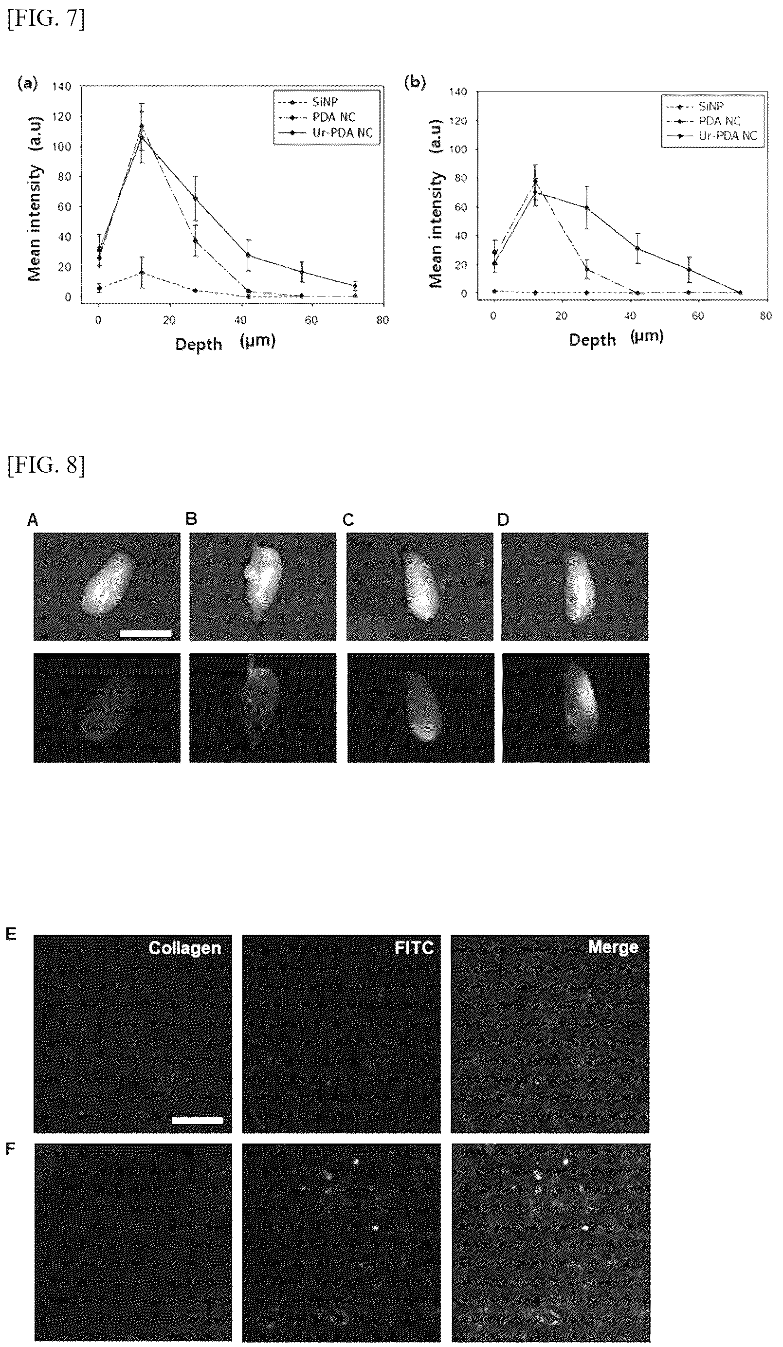 Patent US12599571 Figure 8 – Method for preparing polydopamine nanomotor using urease, and use of same