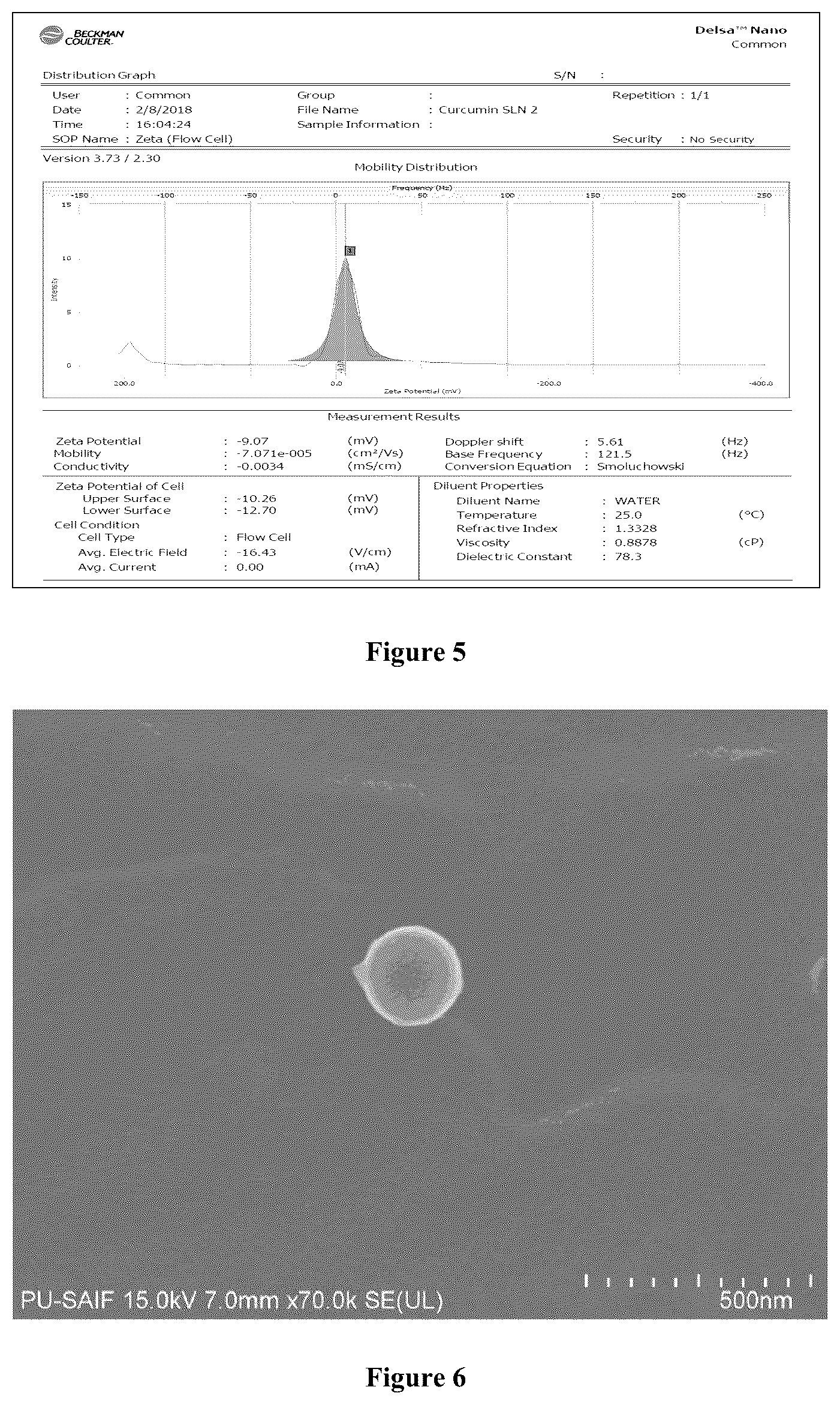 Patent US12599572 Figure 3 – Solid lipid nanoparticles of curcumin