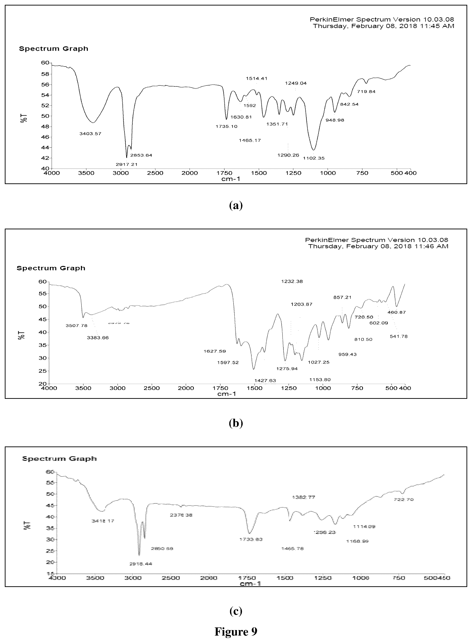 Patent US12599572 Figure 6 – Solid lipid nanoparticles of curcumin
