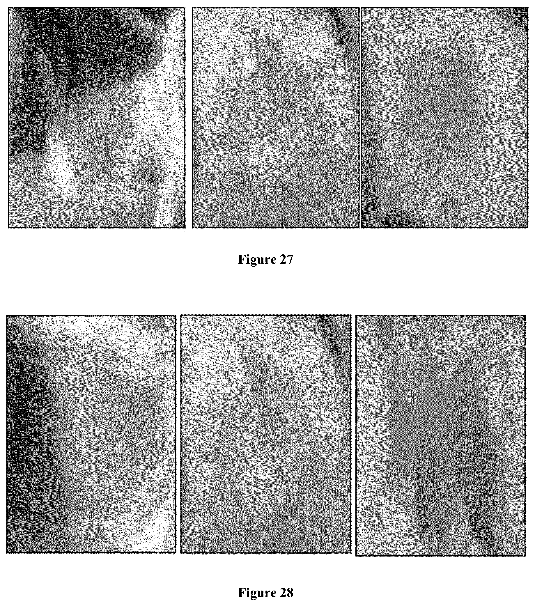 Patent US12599572 Figure 20 – Solid lipid nanoparticles of curcumin