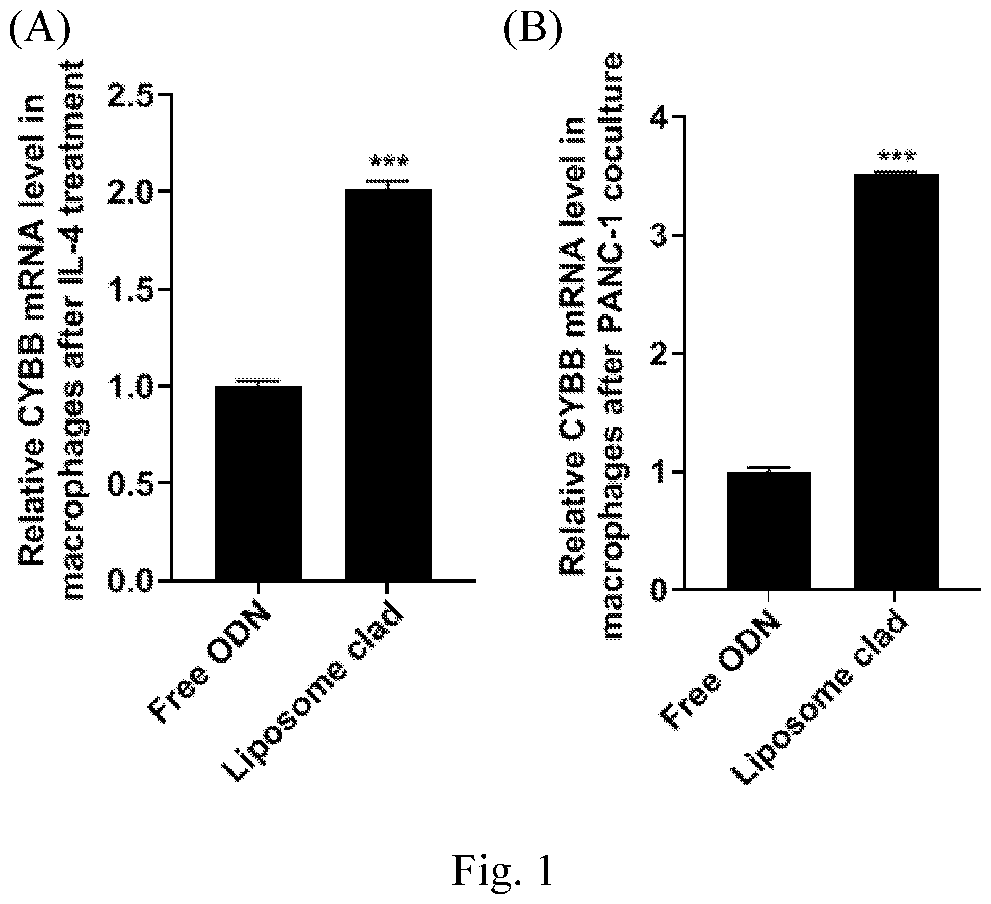 Patent US12599573 Figure 1 – Compositions and uses thereof in treating cancers