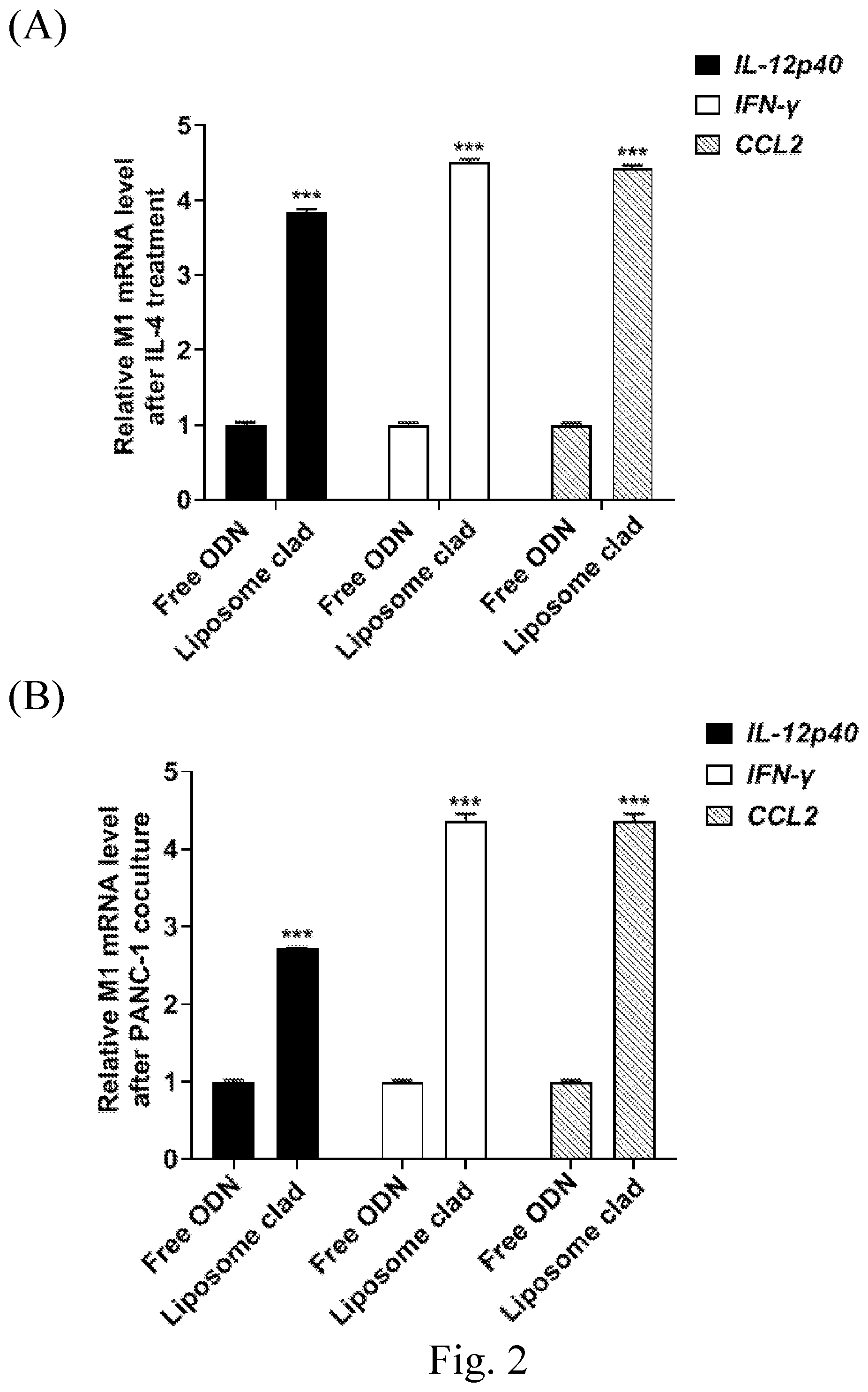 Patent US12599573 Figure 2 – Compositions and uses thereof in treating cancers