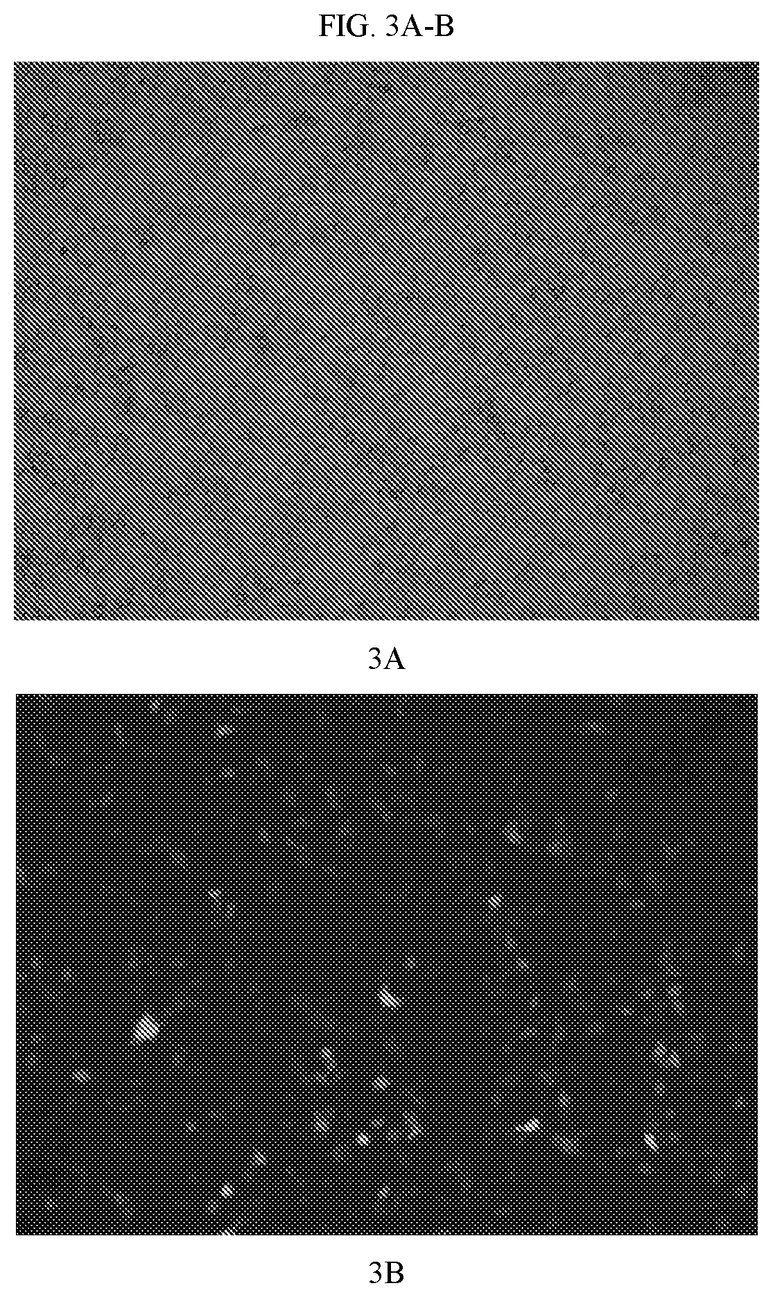 Patent US12599574 Figure 2 – Process of making membrane lipid coated nanoparticles