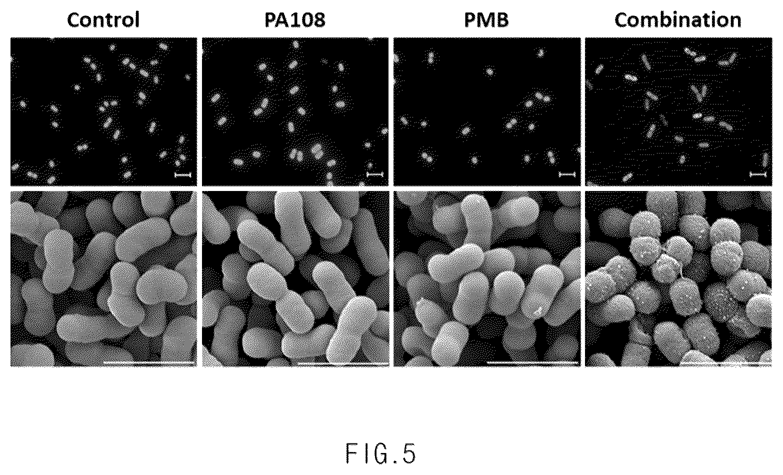 Patent US12599575 Figure 5 – Antimicrobial adjuvant containing biphenyl derivative compound as active ingredient, and uses thereof