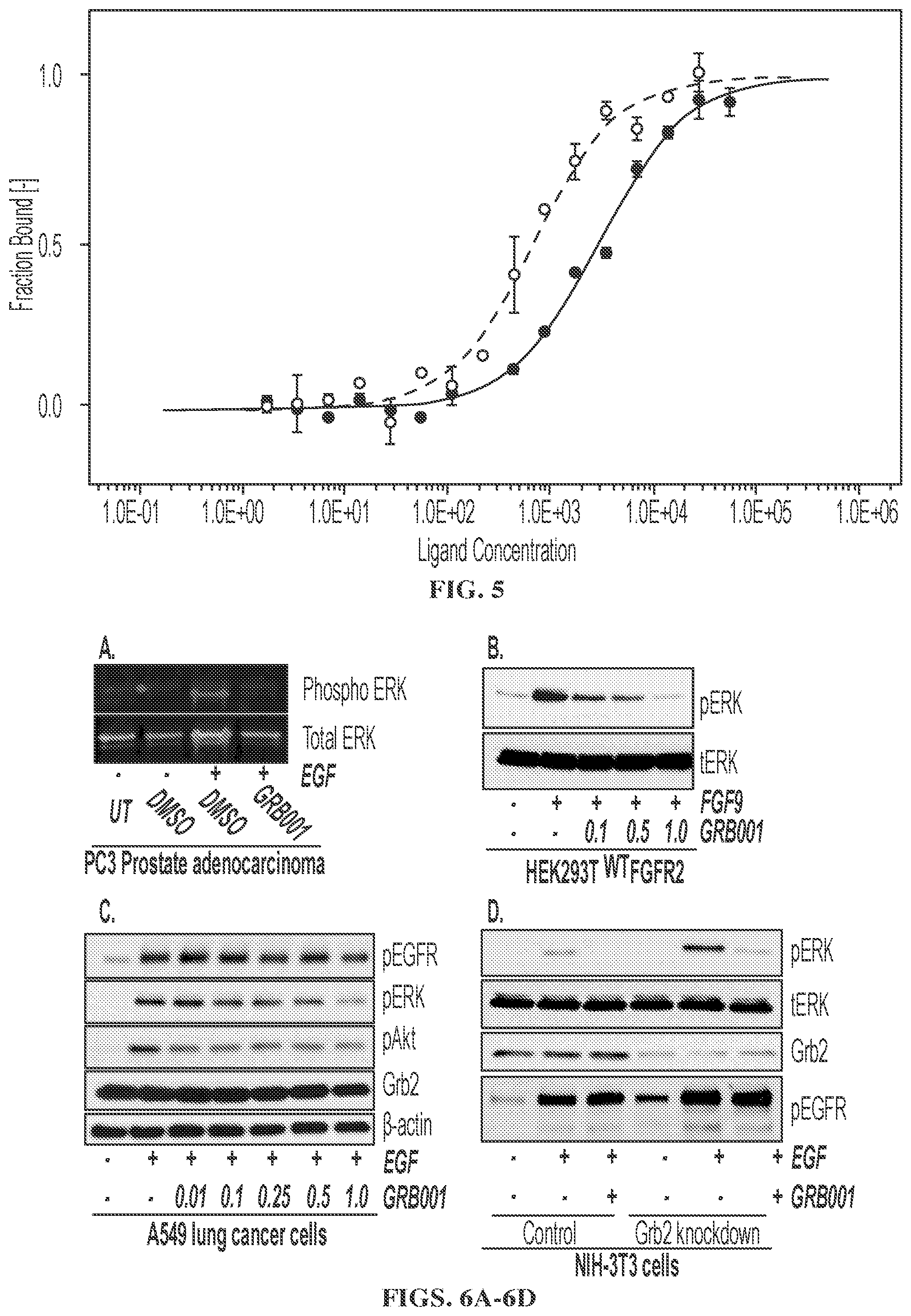 Patent US12599583 Figure 4 – Small molecule GRB2 stabilizers for Ras map kinase inhibition