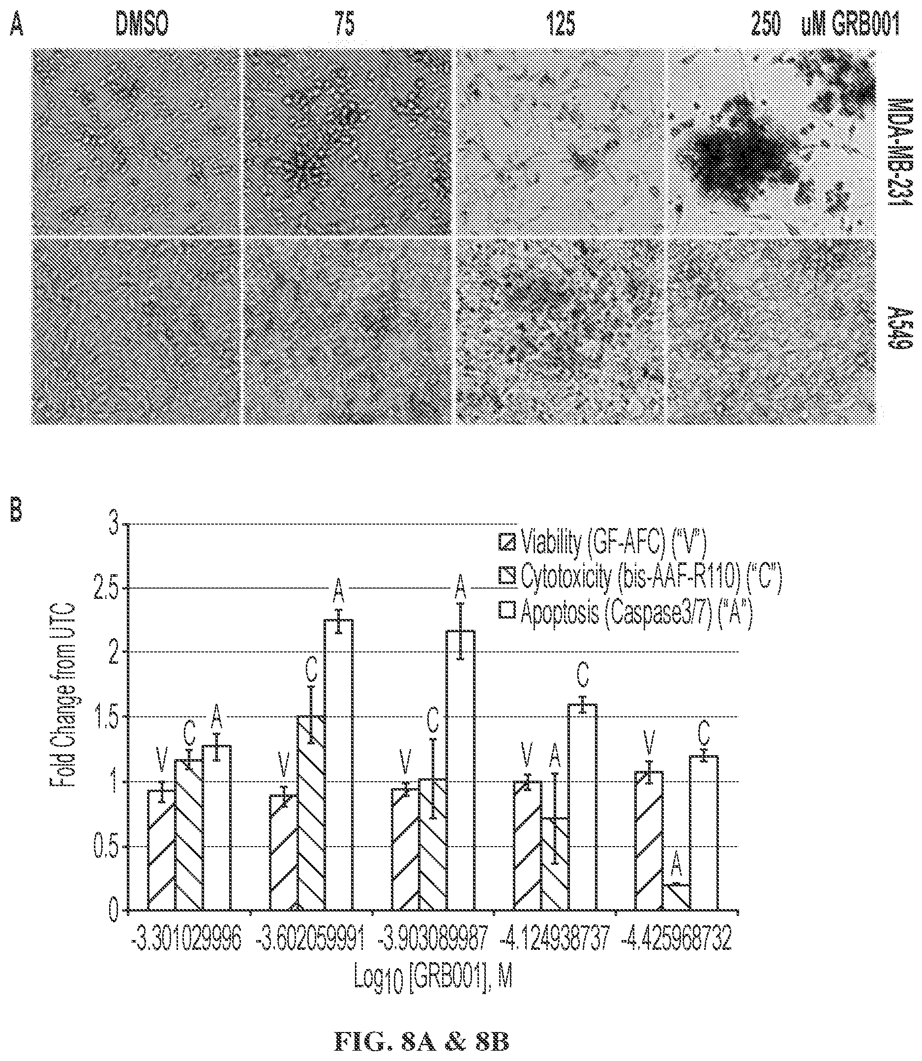 Patent US12599583 Figure 6 – Small molecule GRB2 stabilizers for Ras map kinase inhibition