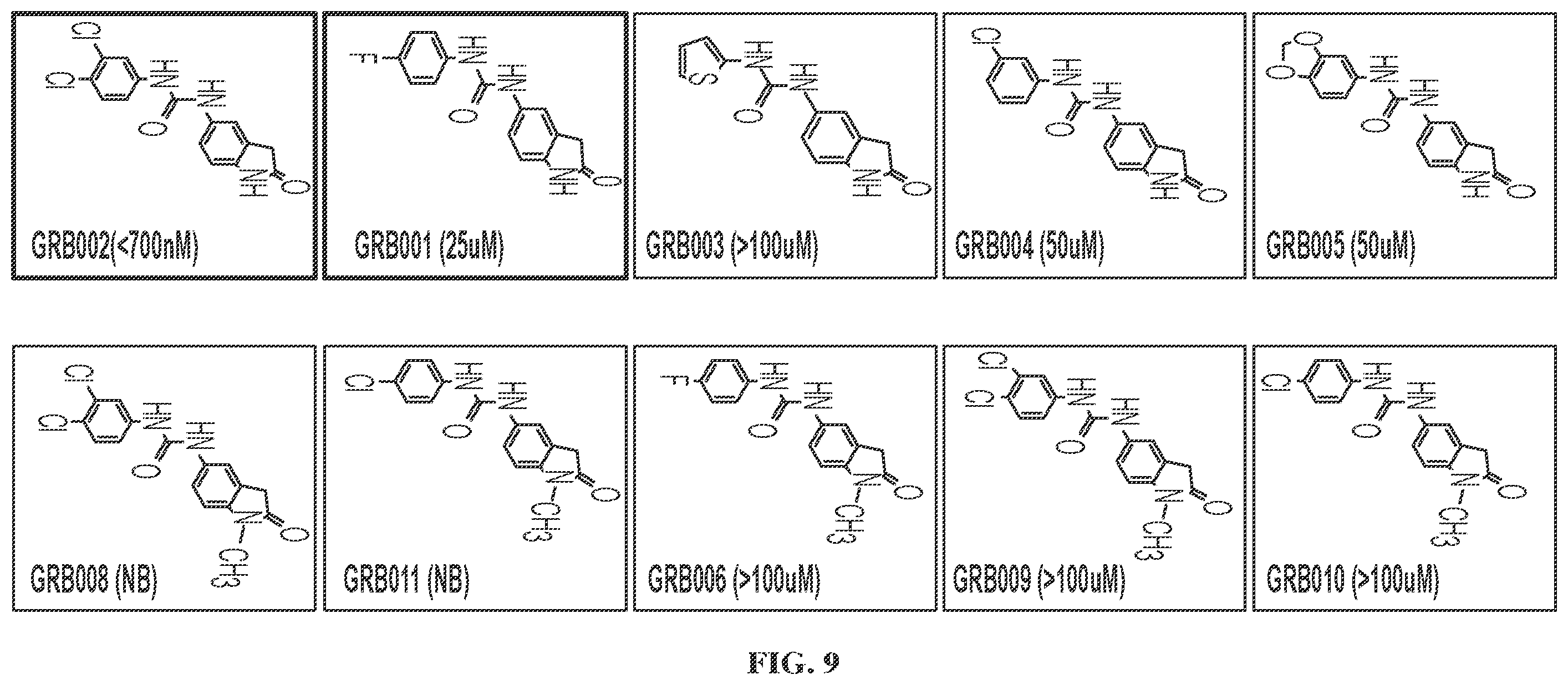 Patent US12599583 Figure 7 – Small molecule GRB2 stabilizers for Ras map kinase inhibition