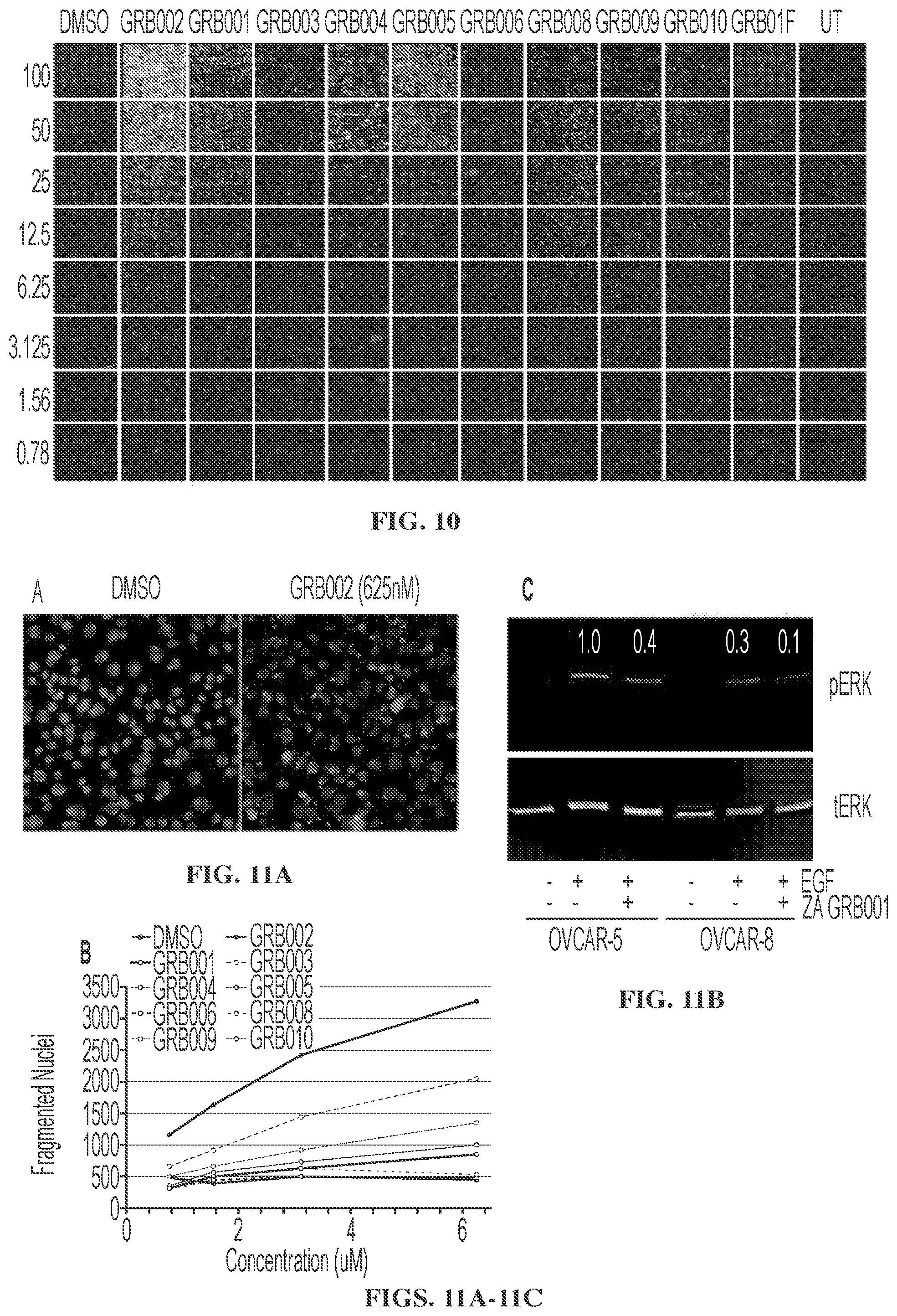 Patent US12599583 Figure 8 – Small molecule GRB2 stabilizers for Ras map kinase inhibition