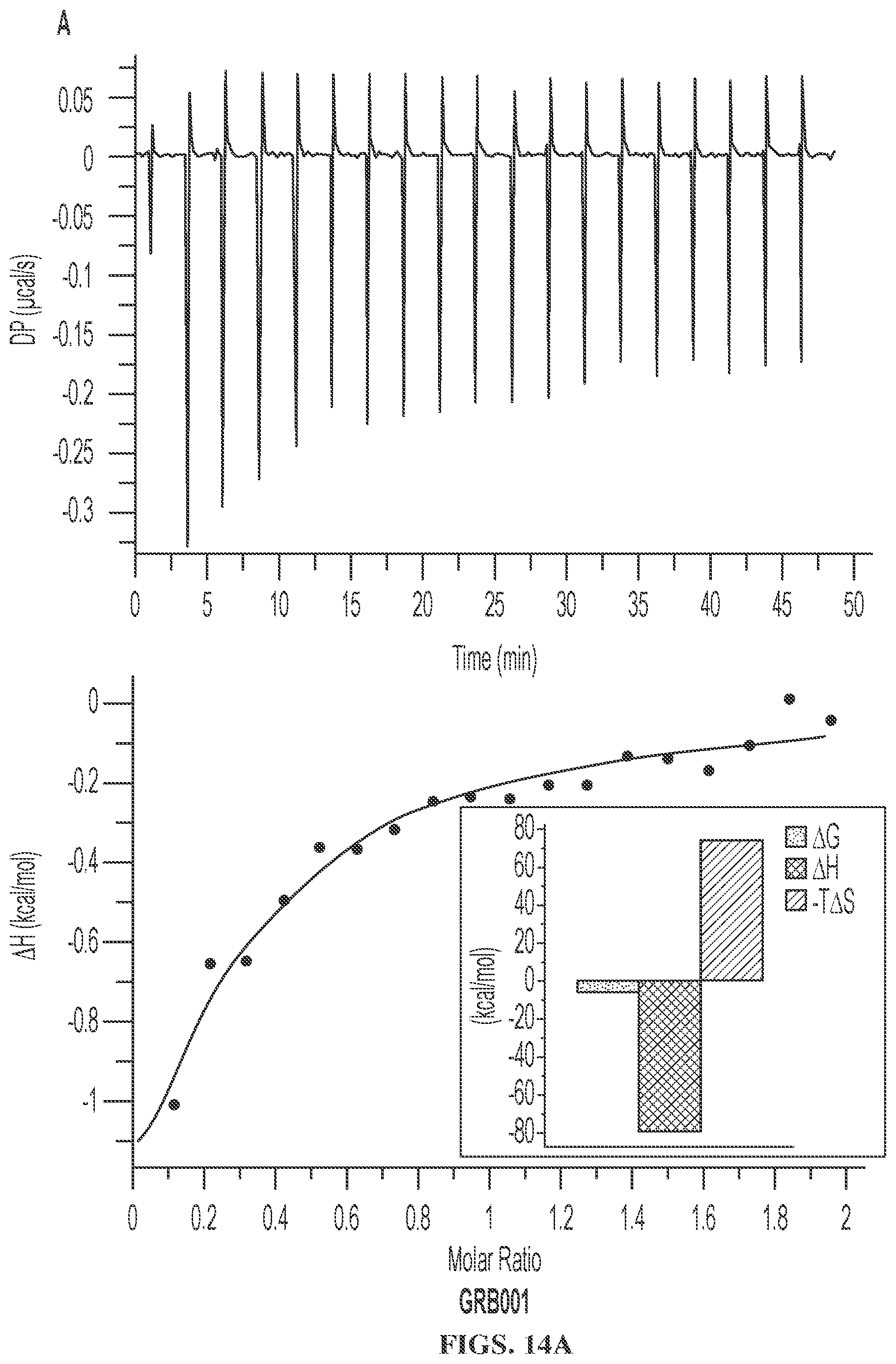 Patent US12599583 Figure 11 – Small molecule GRB2 stabilizers for Ras map kinase inhibition
