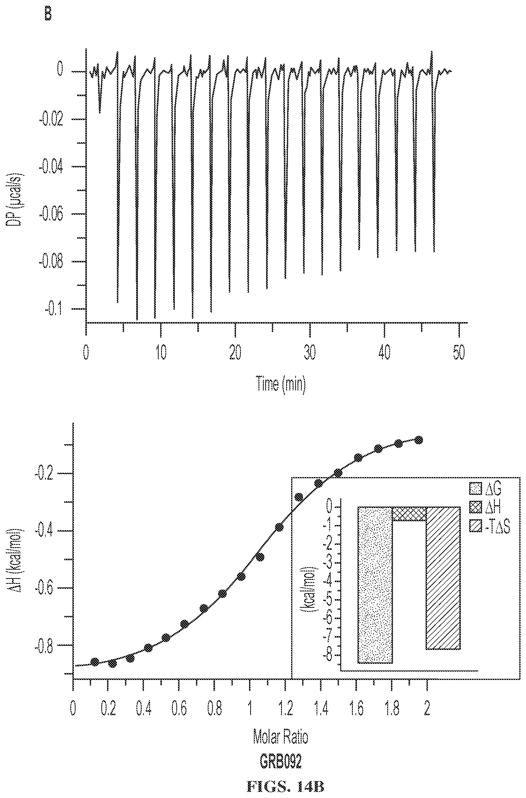 Patent US12599583 Figure 12 – Small molecule GRB2 stabilizers for Ras map kinase inhibition