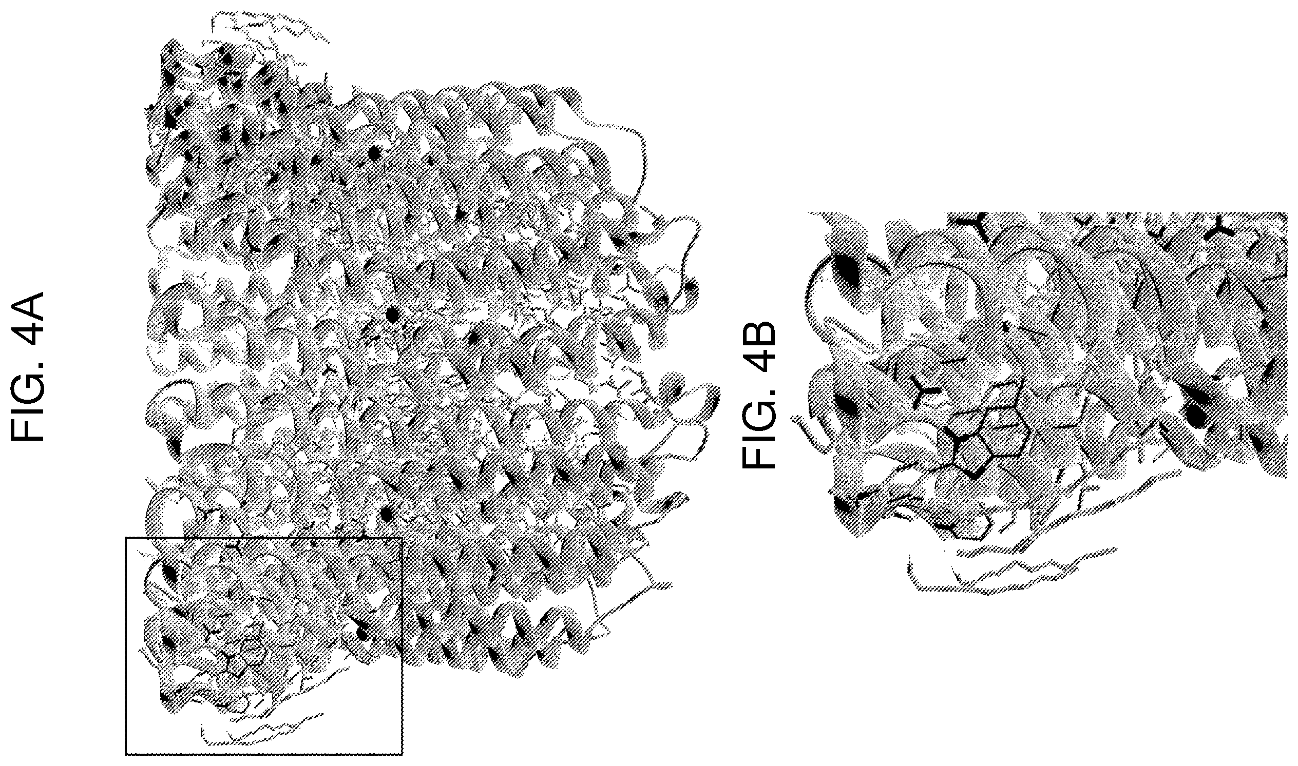 Patent US12599588 Figure 3 – Inhibitor for V-ATPase activity, antibacterial agent, medicine, antibacterial method and screening method