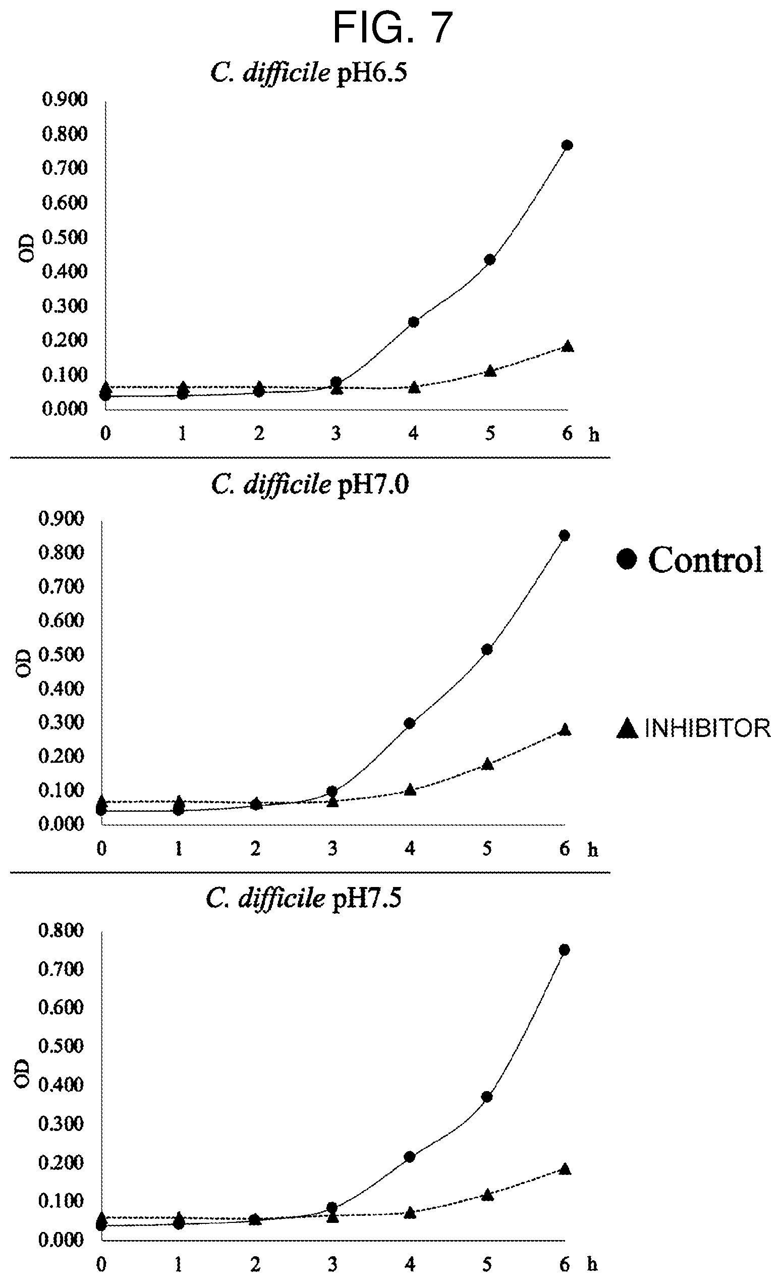 Patent US12599588 Figure 5 – Inhibitor for V-ATPase activity, antibacterial agent, medicine, antibacterial method and screening method