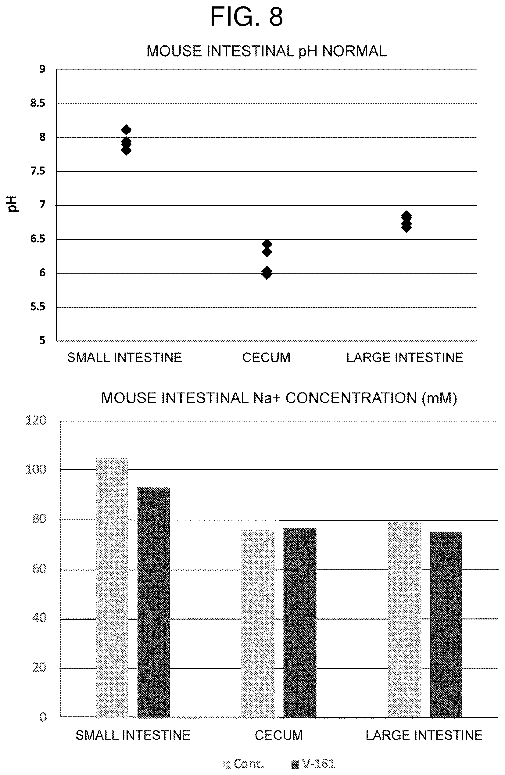 Patent US12599588 Figure 6 – Inhibitor for V-ATPase activity, antibacterial agent, medicine, antibacterial method and screening method
