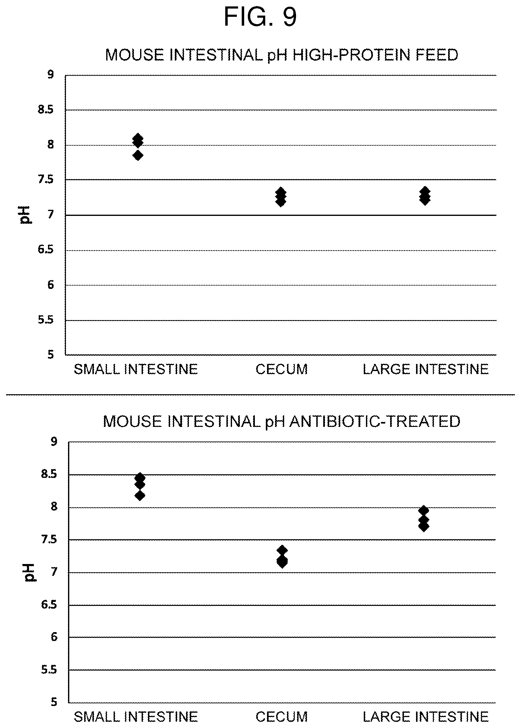Patent US12599588 Figure 7 – Inhibitor for V-ATPase activity, antibacterial agent, medicine, antibacterial method and screening method