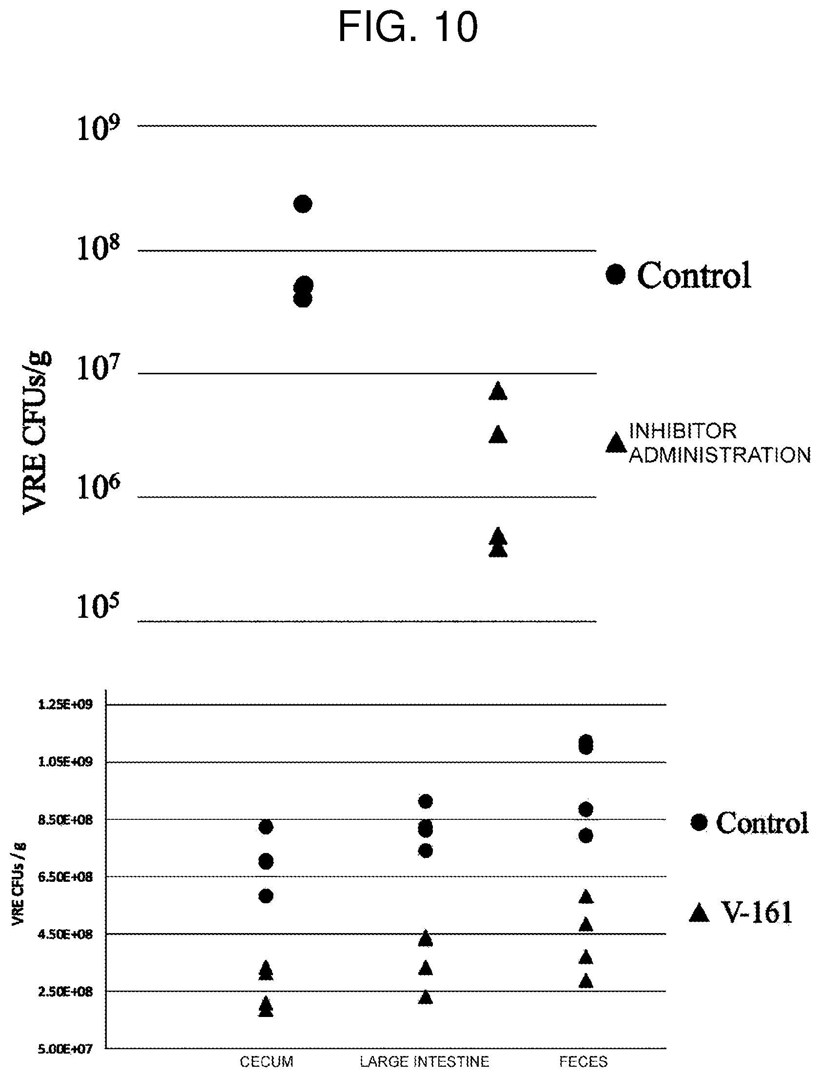 Patent US12599588 Figure 8 – Inhibitor for V-ATPase activity, antibacterial agent, medicine, antibacterial method and screening method