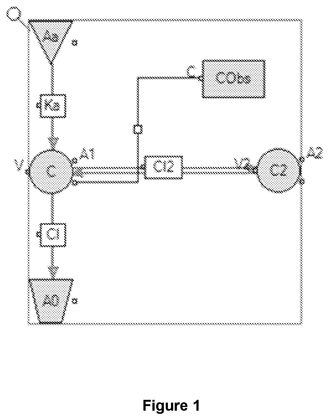 Patent US12599590 Figure 1 – Veterinary formulations comprising rapamycin and methods of using the same for treating animal disease