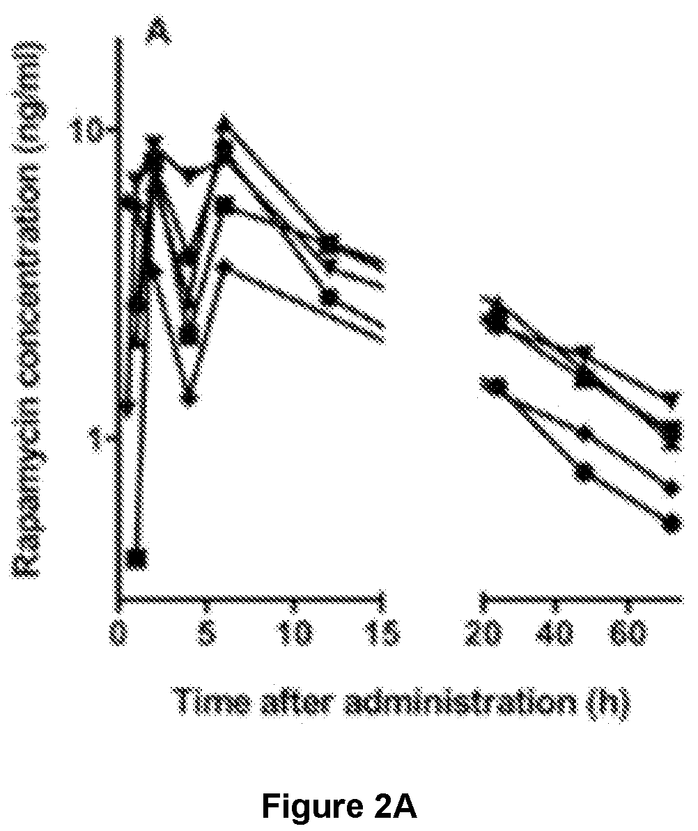 Patent US12599590 Figure 2 – Veterinary formulations comprising rapamycin and methods of using the same for treating animal disease