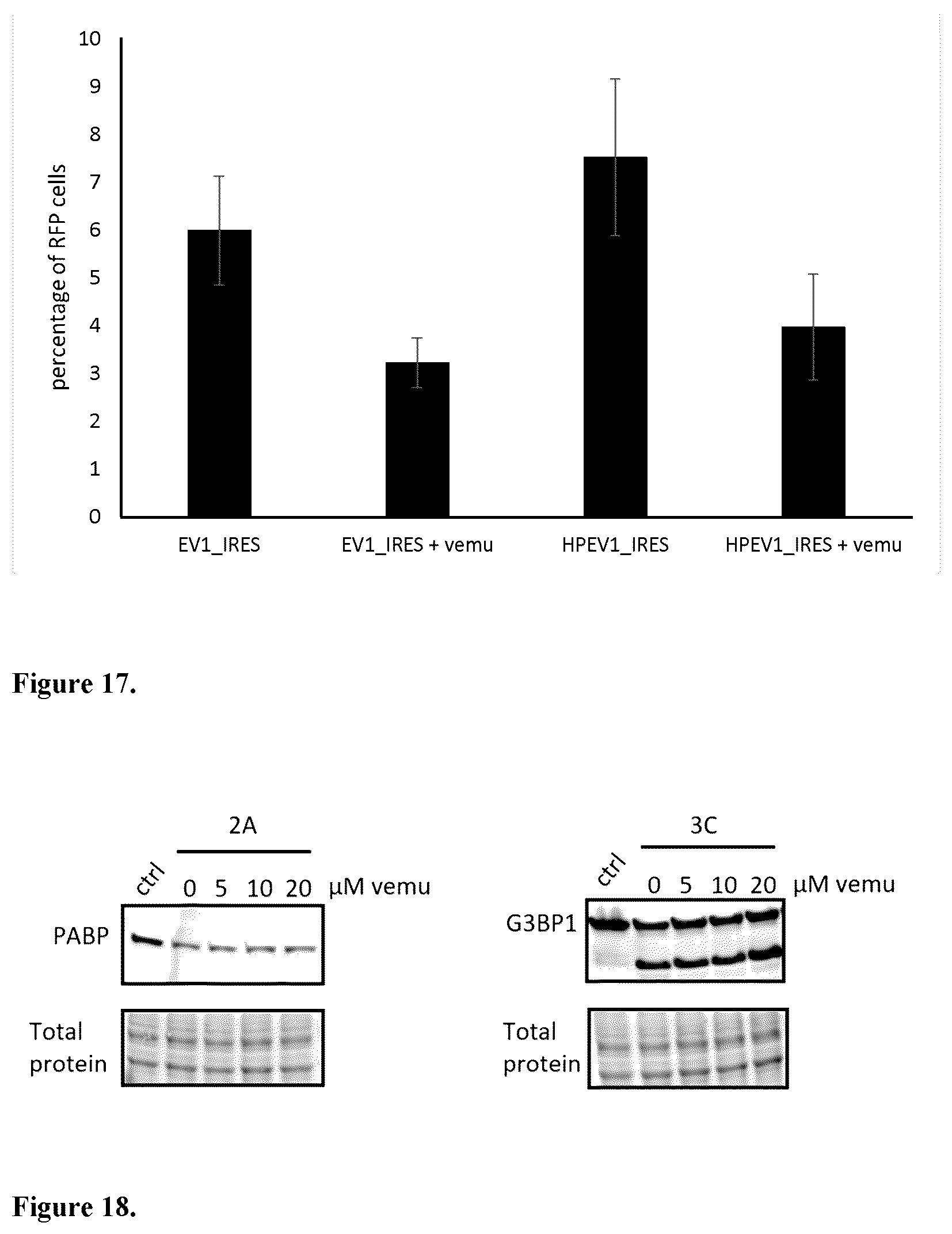 Patent US12599591 Figure 9 – Vemurafenib and salts thereof for use in the treatment of enteroviral infections