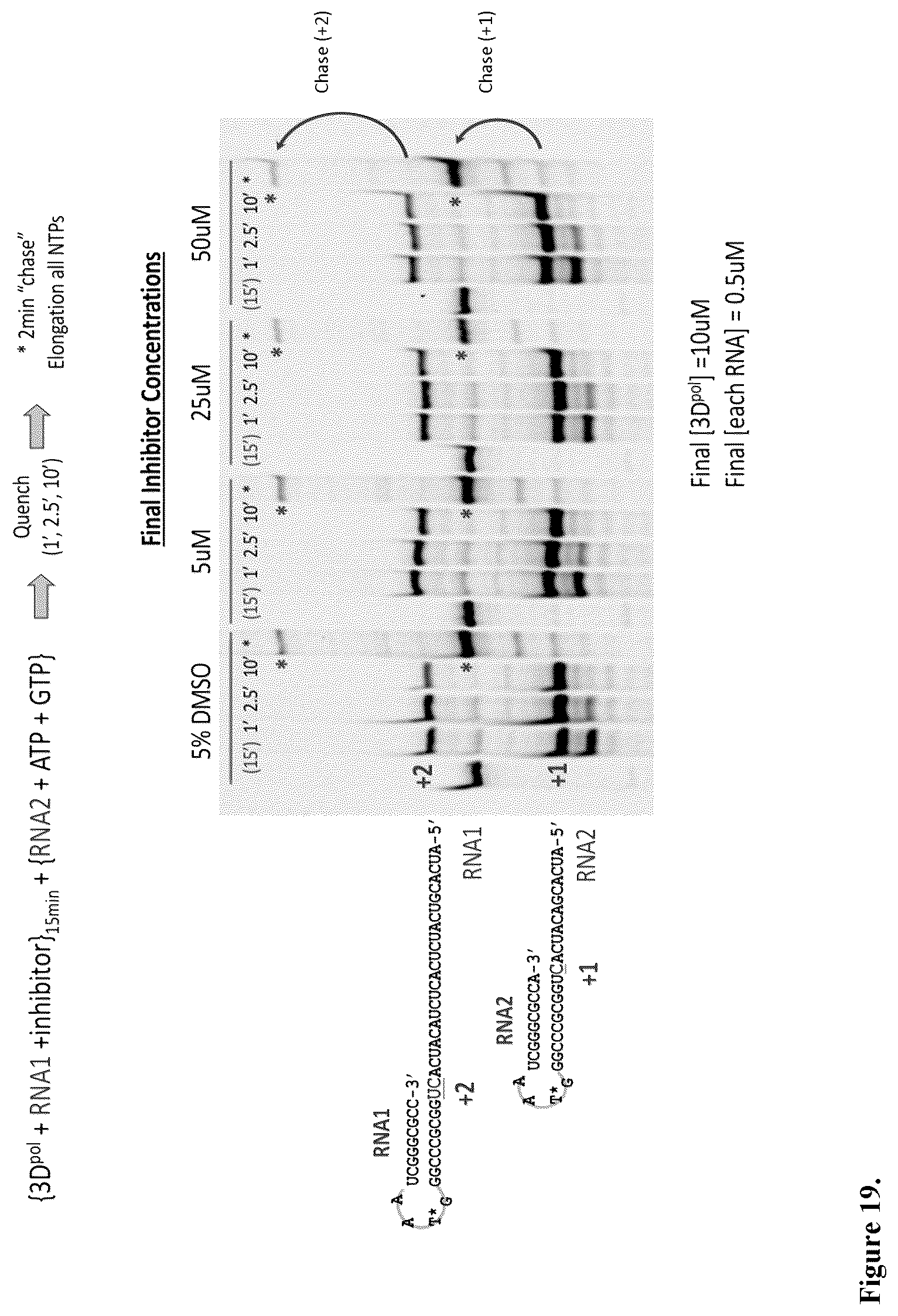 Patent US12599591 Figure 10 – Vemurafenib and salts thereof for use in the treatment of enteroviral infections