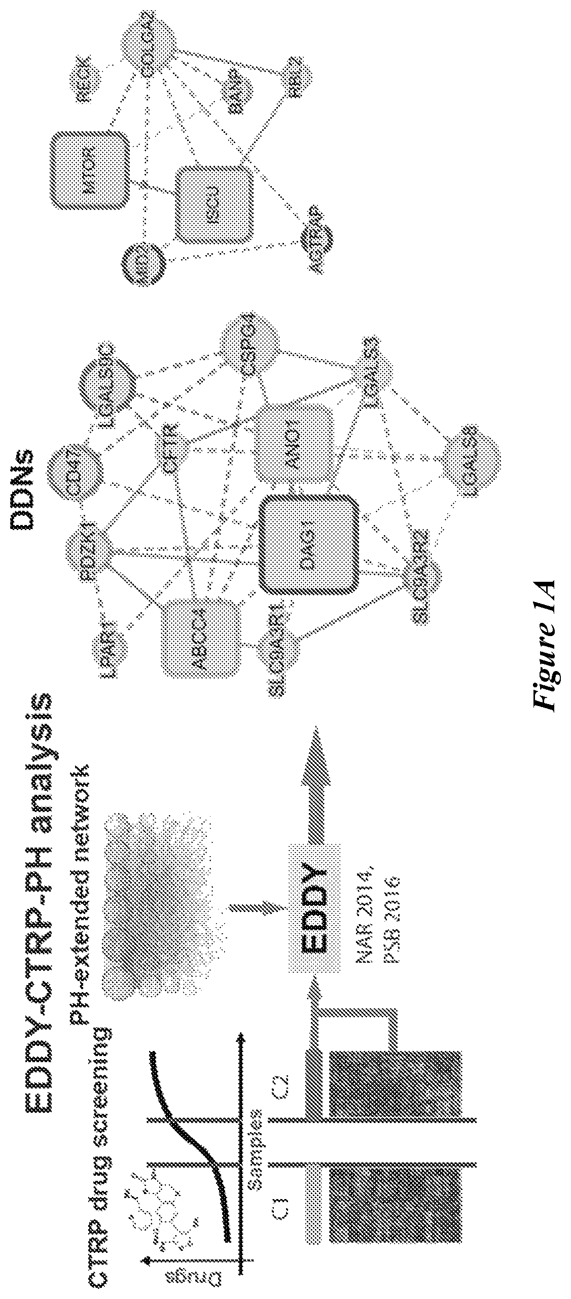 Patent US12599592 — Therapeutic small molecules for treatment of pulmonary hypertension — Figure 1