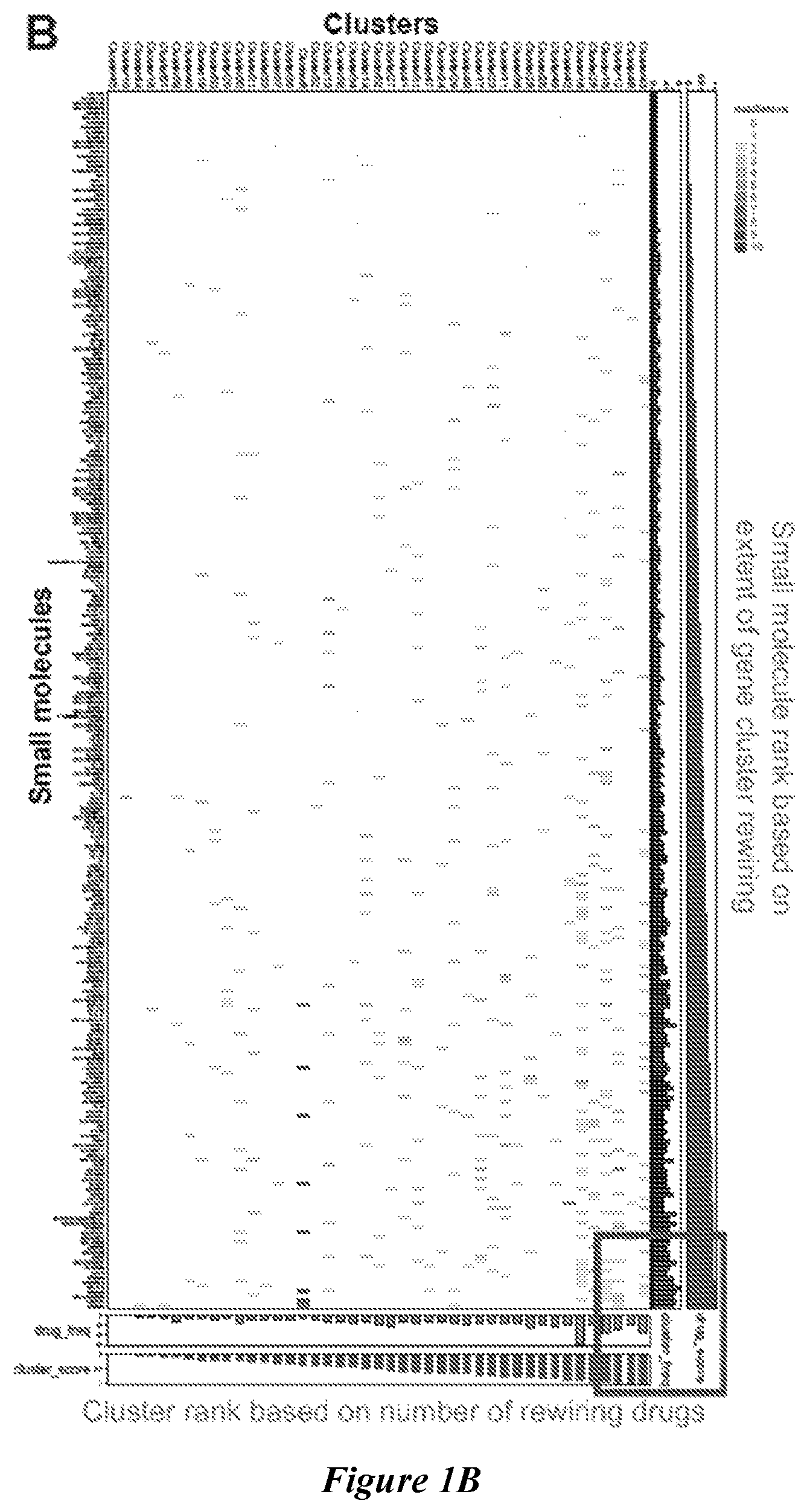 Patent US12599592 Figure 2 – Therapeutic small molecules for treatment of pulmonary hypertension