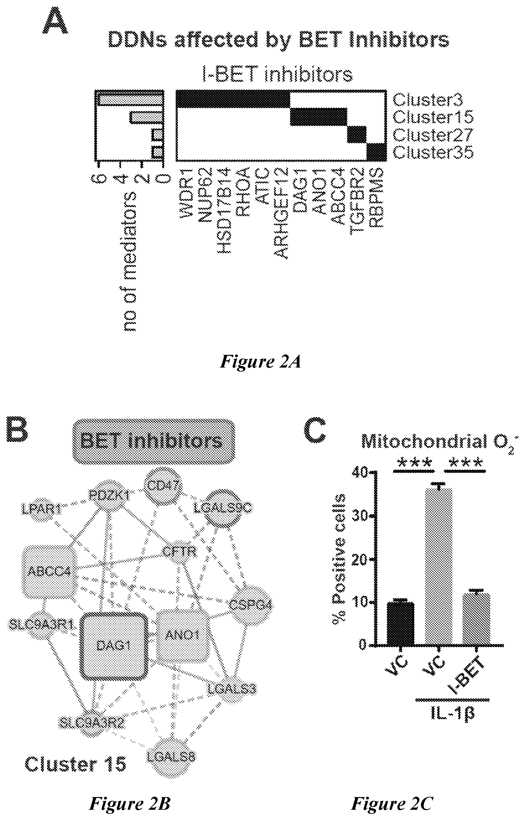 Patent US12599592 Figure 4 – Therapeutic small molecules for treatment of pulmonary hypertension
