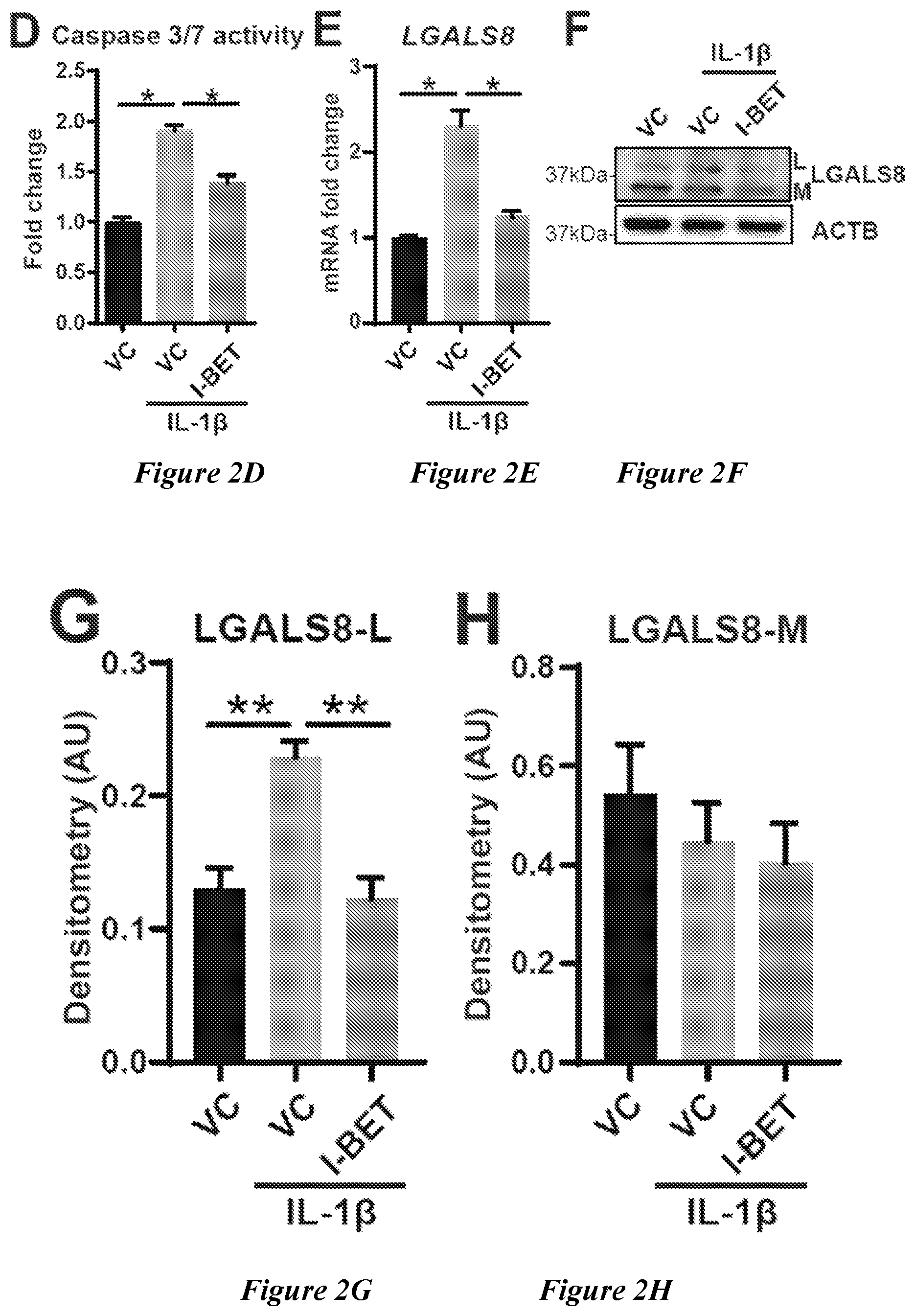 Patent US12599592 Figure 5 – Therapeutic small molecules for treatment of pulmonary hypertension