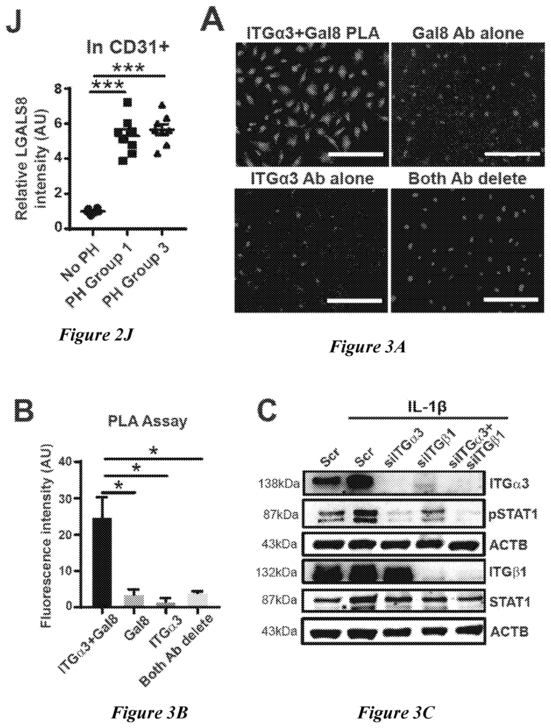 Patent US12599592 Figure 7 – Therapeutic small molecules for treatment of pulmonary hypertension
