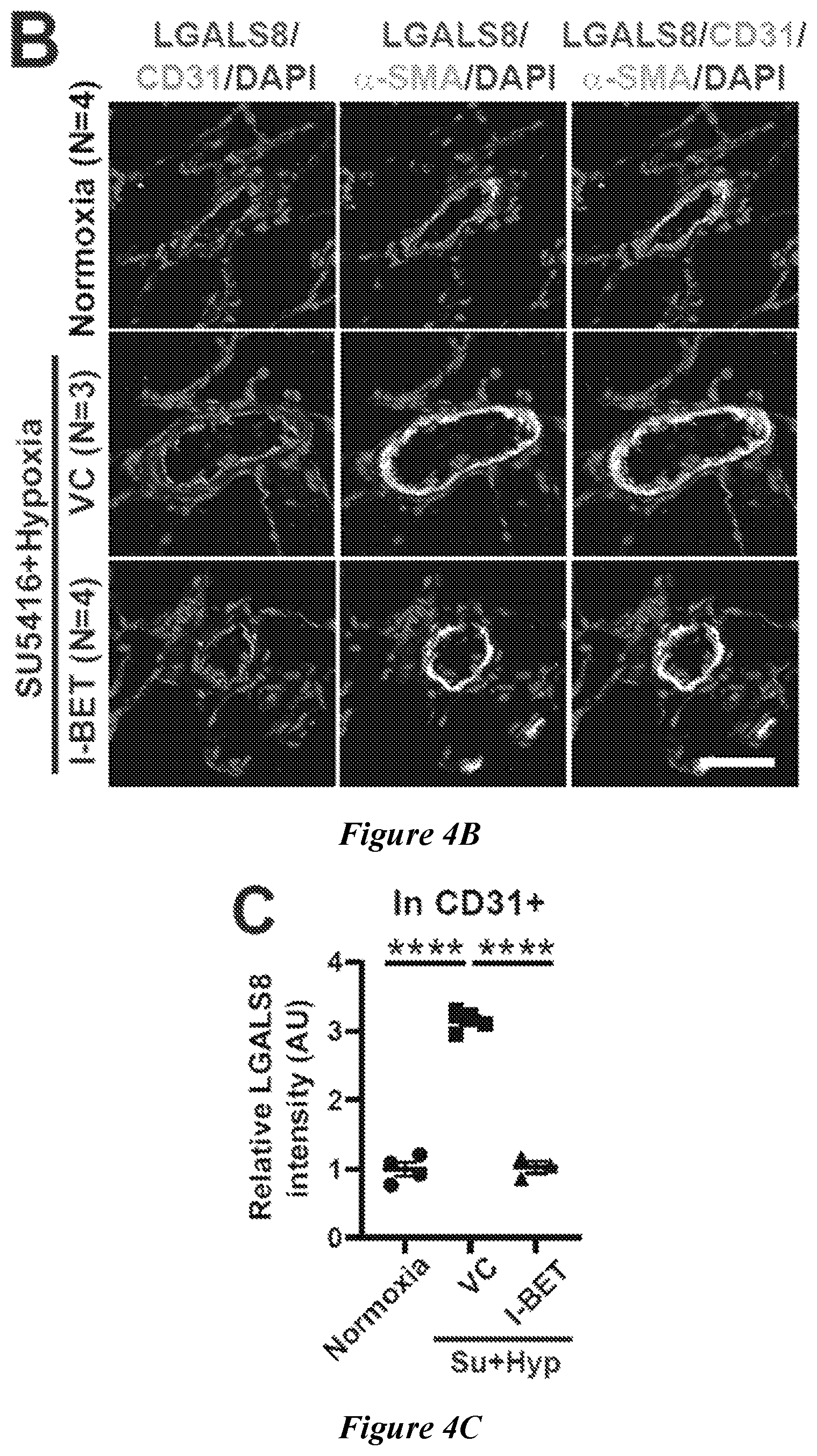 Patent US12599592 Figure 10 – Therapeutic small molecules for treatment of pulmonary hypertension