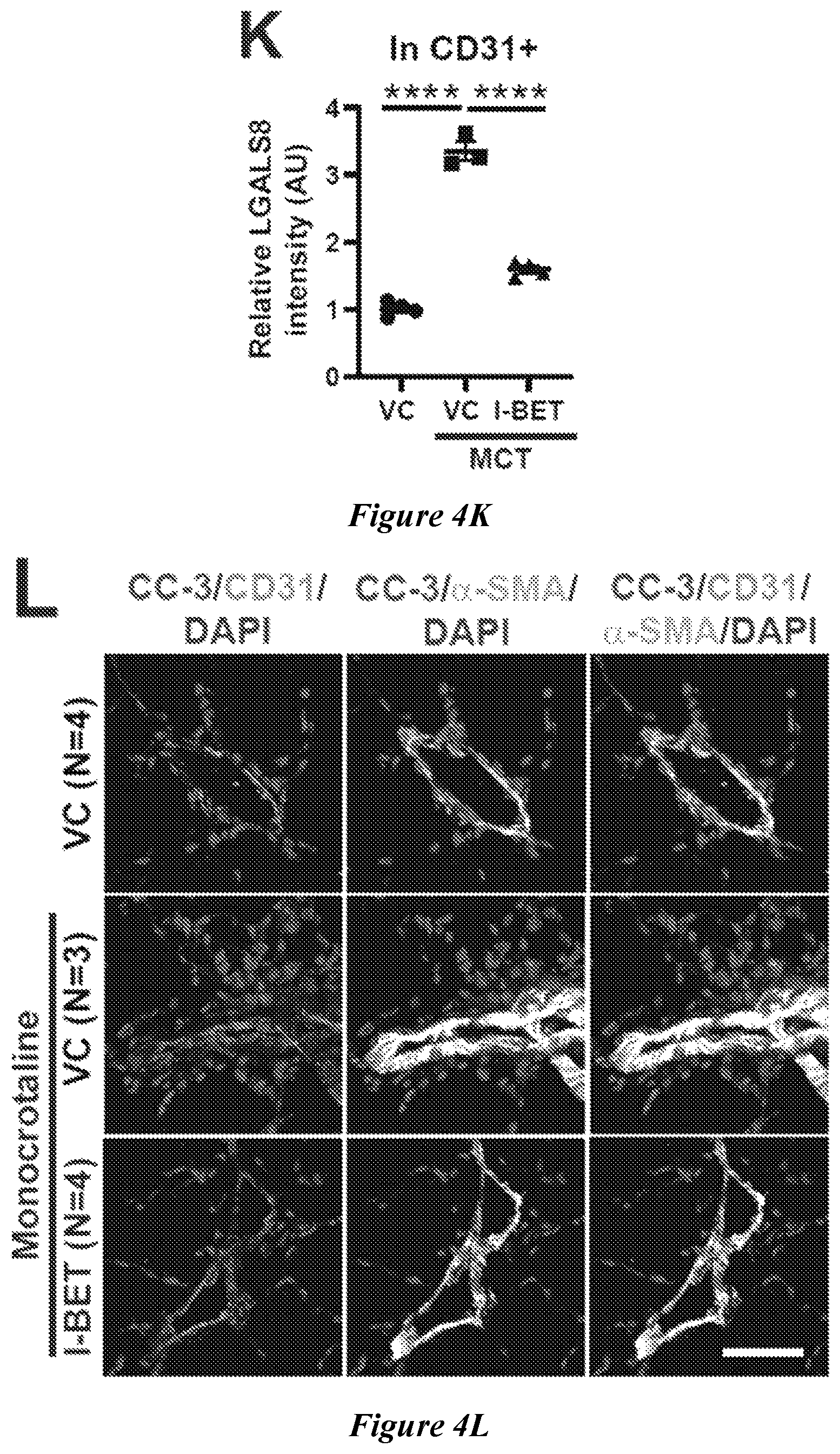 Patent US12599592 Figure 13 – Therapeutic small molecules for treatment of pulmonary hypertension