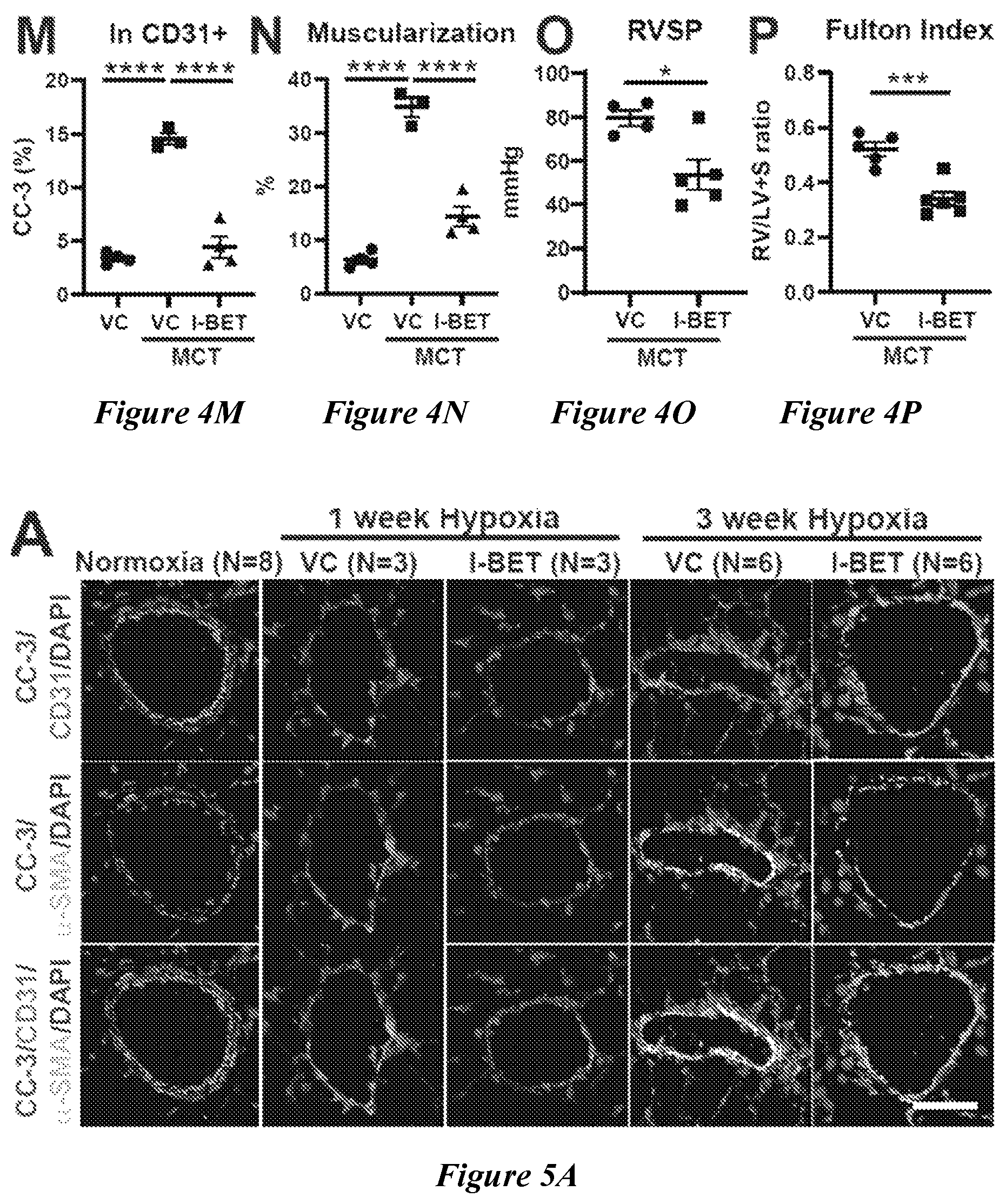 Patent US12599592 Figure 14 – Therapeutic small molecules for treatment of pulmonary hypertension
