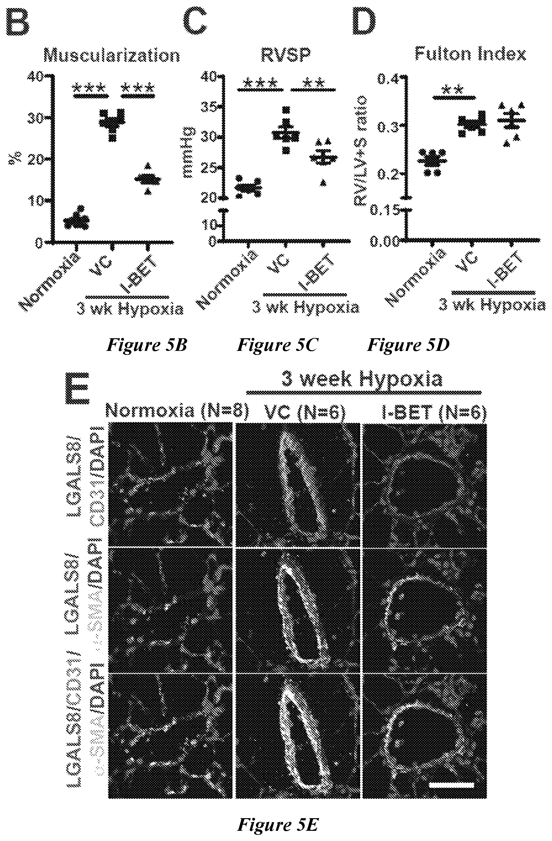 Patent US12599592 Figure 15 – Therapeutic small molecules for treatment of pulmonary hypertension