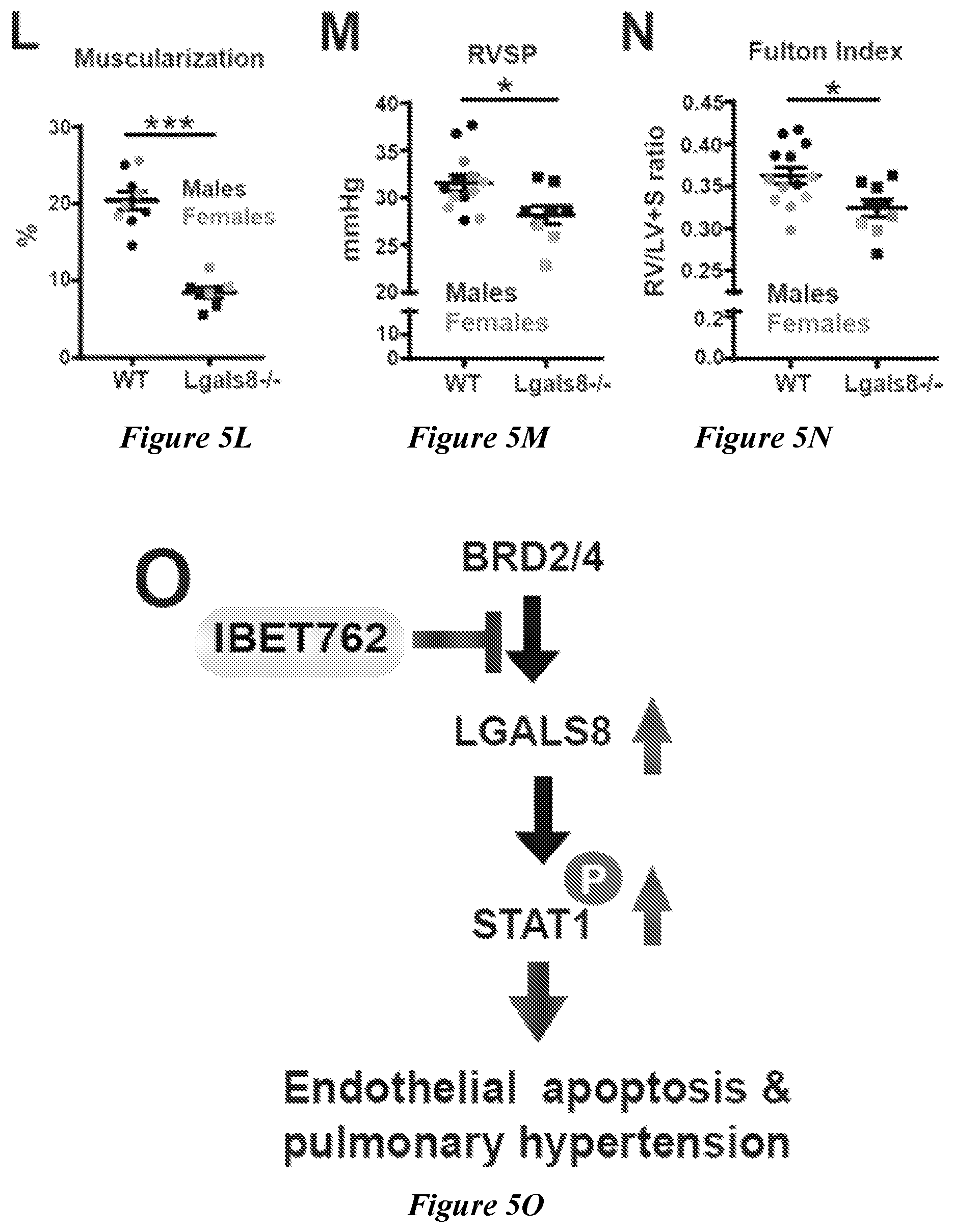 Patent US12599592 Figure 18 – Therapeutic small molecules for treatment of pulmonary hypertension