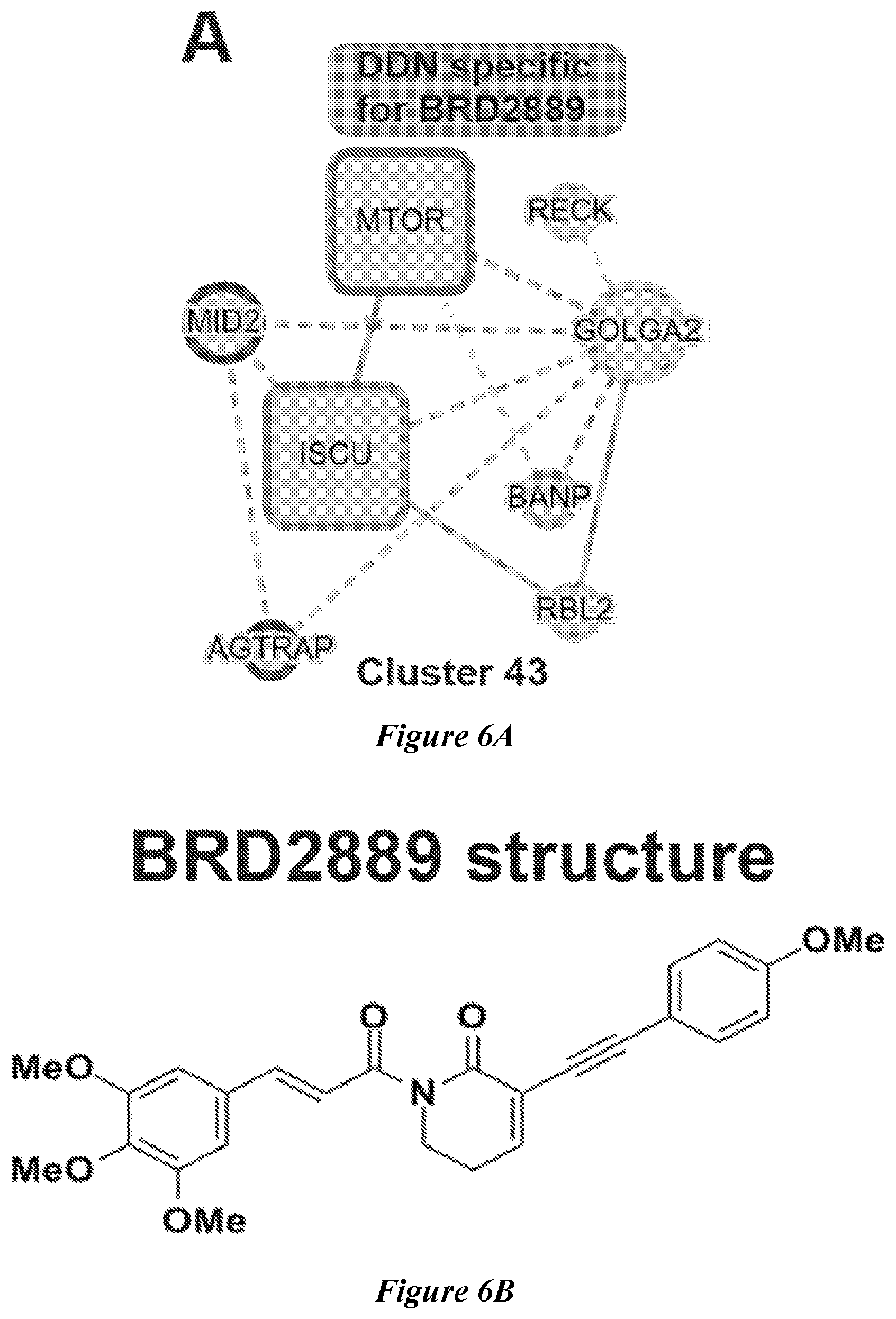 Patent US12599592 Figure 19 – Therapeutic small molecules for treatment of pulmonary hypertension