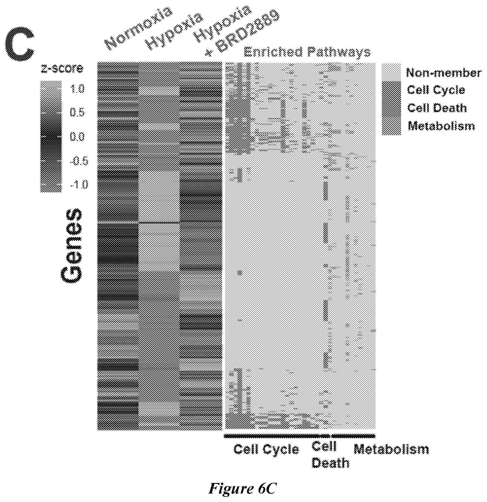 Patent US12599592 Figure 20 – Therapeutic small molecules for treatment of pulmonary hypertension