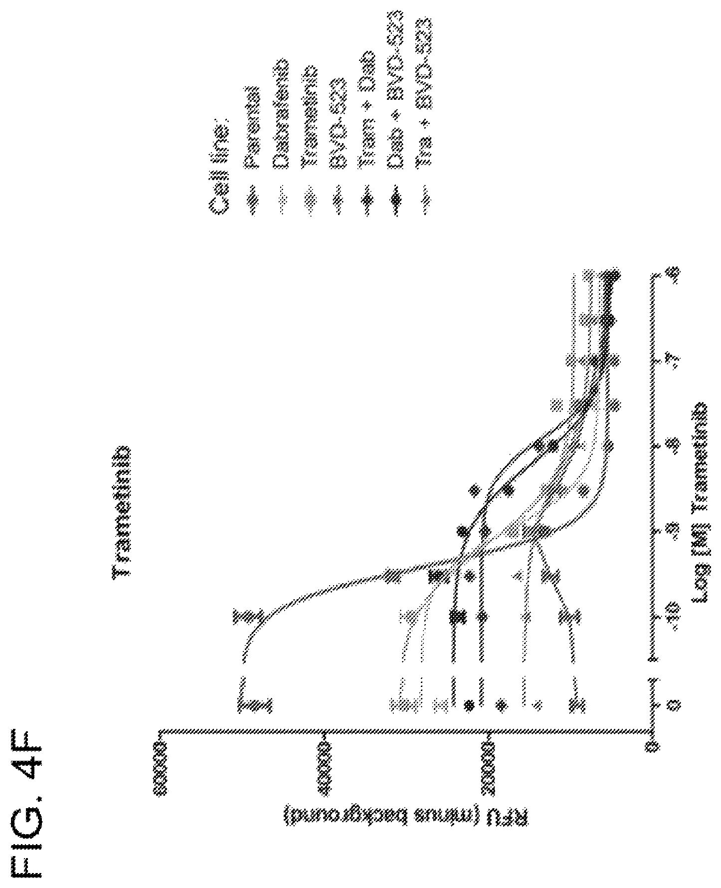 Patent US12599593 Figure 18 – Methods and compositions for treating non-ERK MAPK pathway inhibitor-resistant cancers