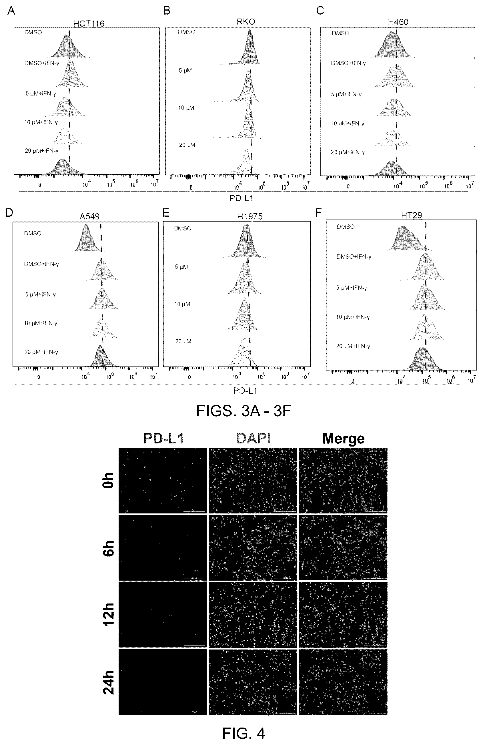 Patent US12599596 Figure 2 – Anti-tumor pharmaceutical composition based on immune checkpoint blockade and use thereof