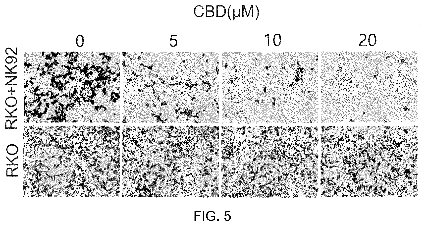 Patent US12599596 Figure 3 – Anti-tumor pharmaceutical composition based on immune checkpoint blockade and use thereof