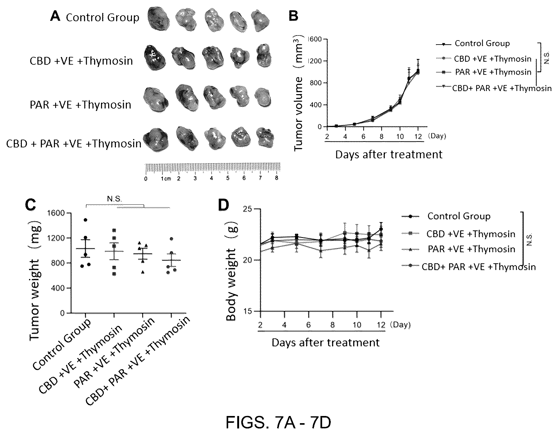 Patent US12599596 Figure 5 – Anti-tumor pharmaceutical composition based on immune checkpoint blockade and use thereof