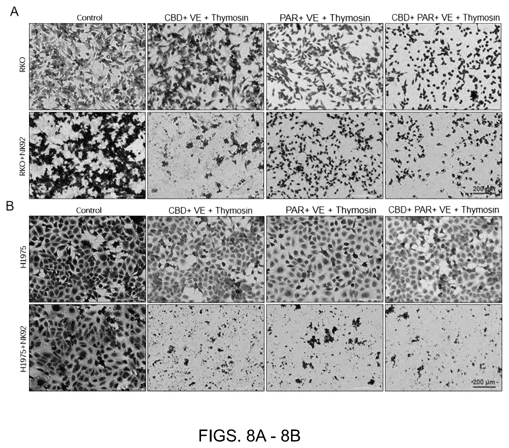 Patent US12599596 Figure 6 – Anti-tumor pharmaceutical composition based on immune checkpoint blockade and use thereof