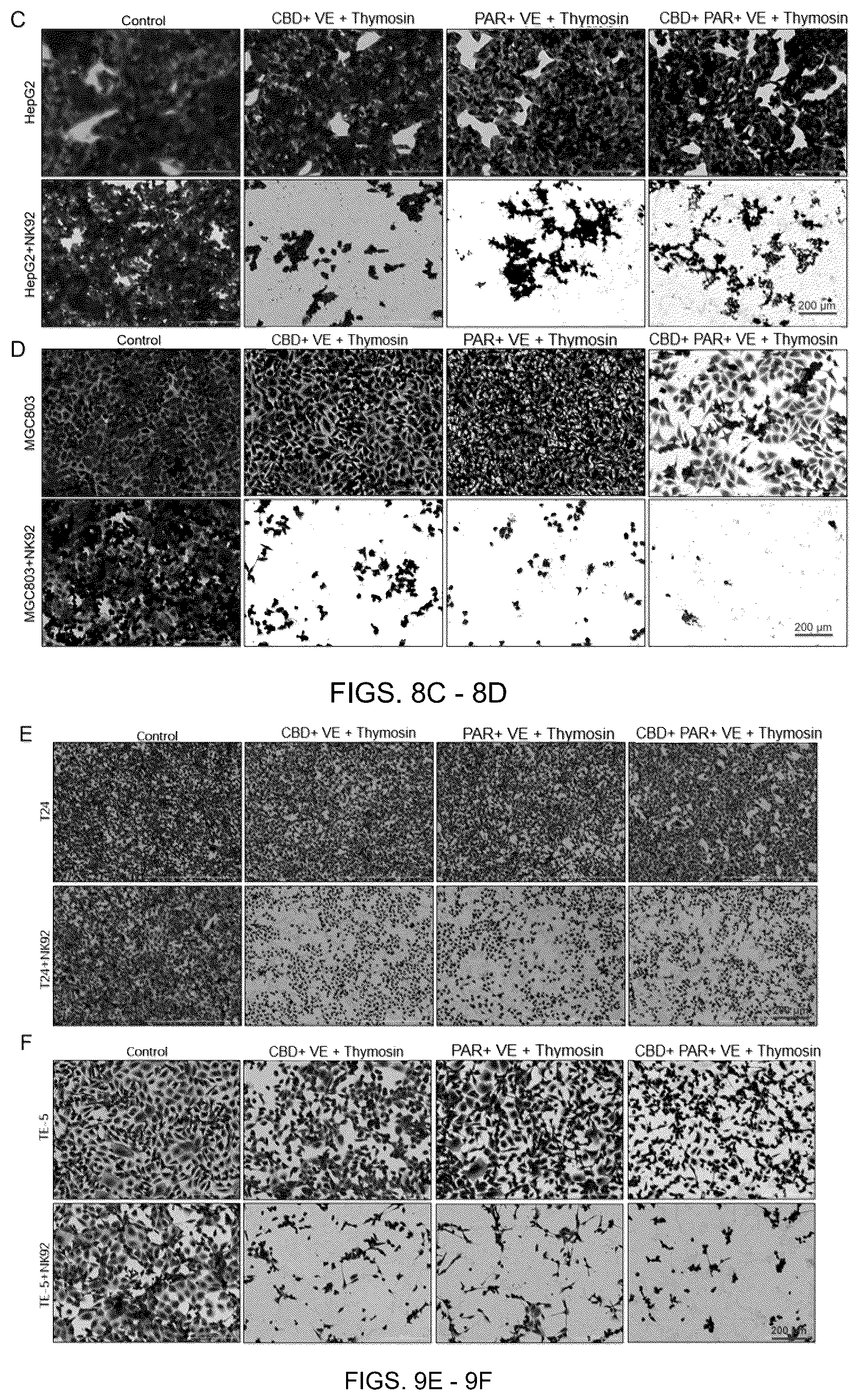 Patent US12599596 Figure 7 – Anti-tumor pharmaceutical composition based on immune checkpoint blockade and use thereof